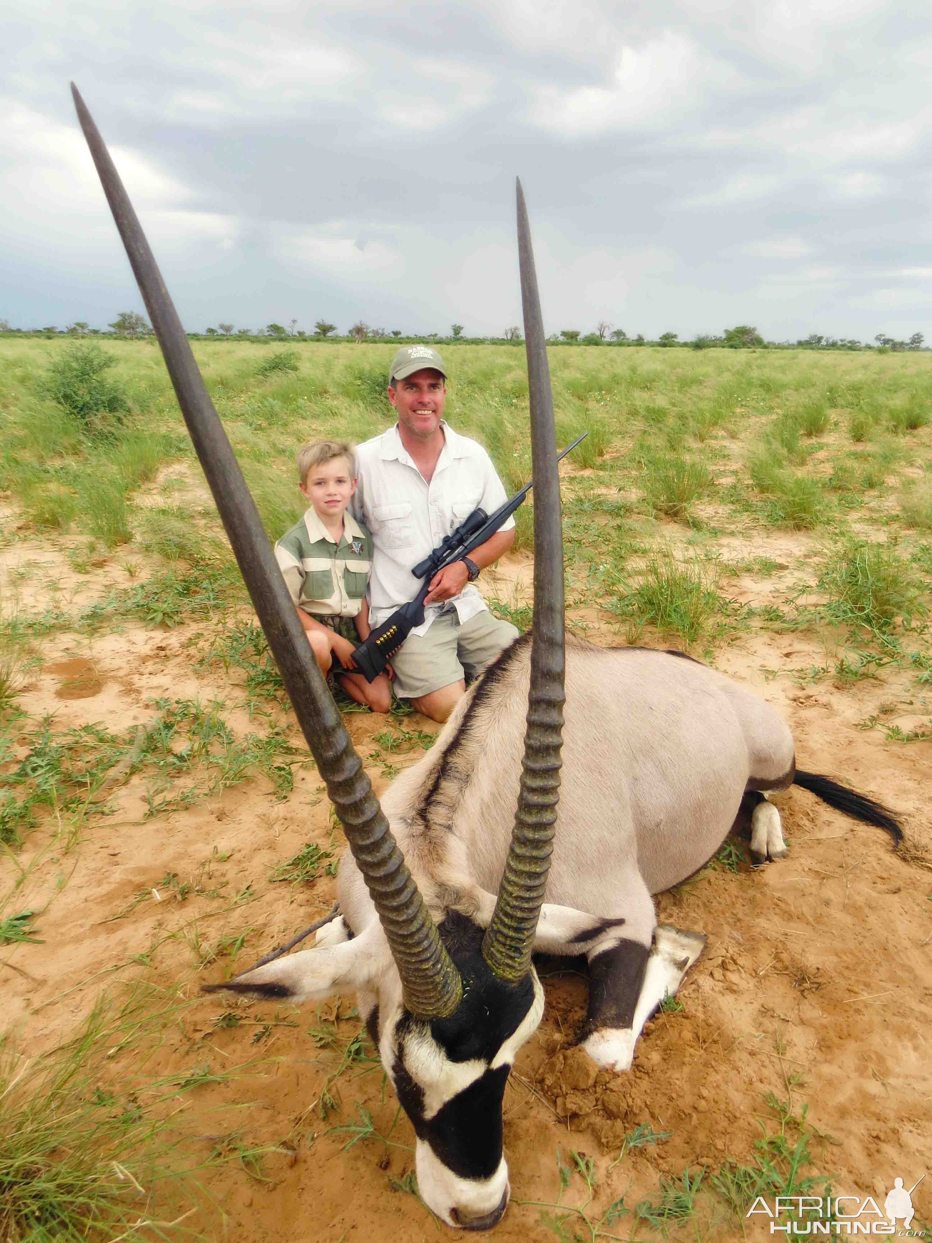 Gemsbok Bull