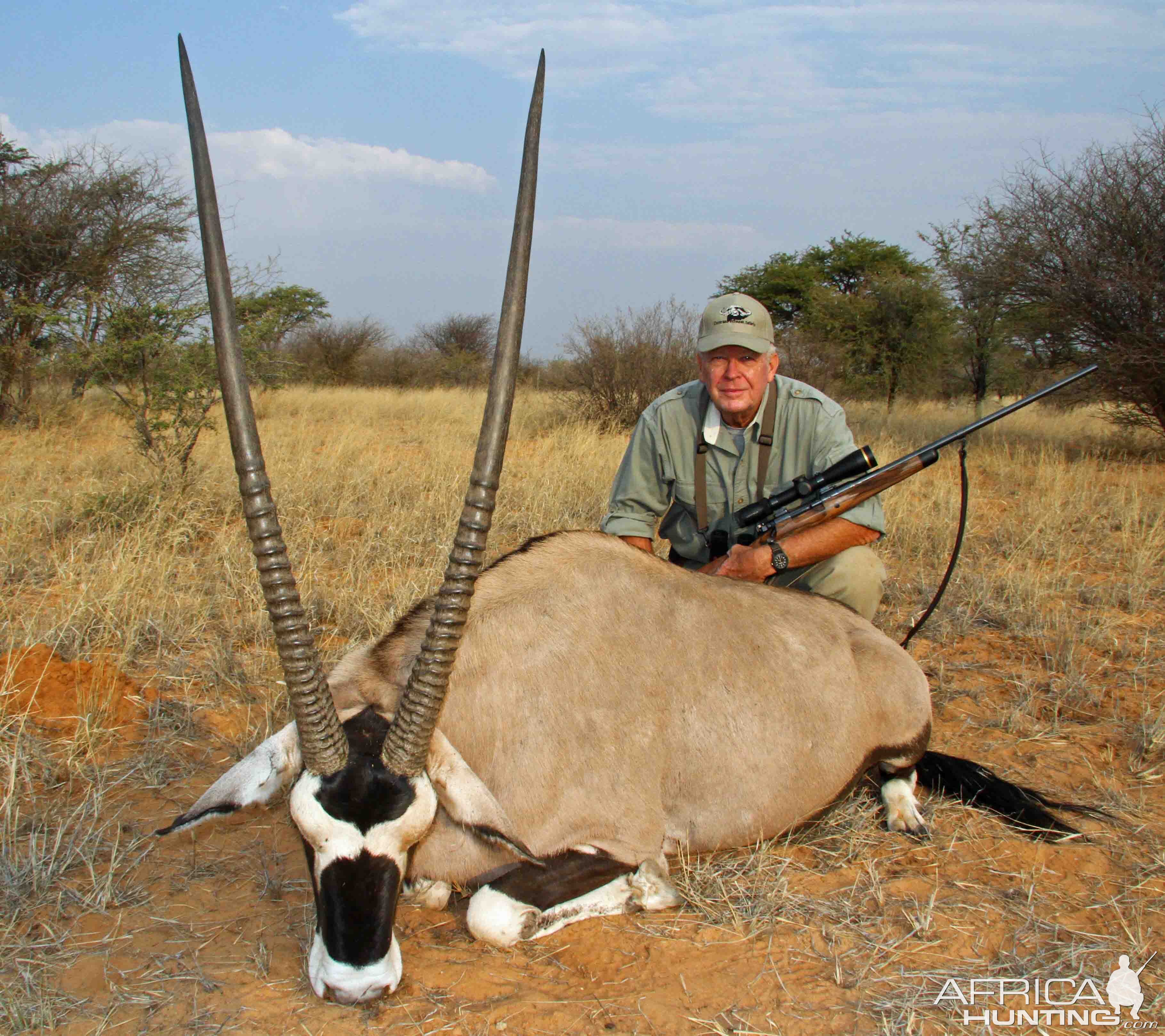 Gemsbok Bull