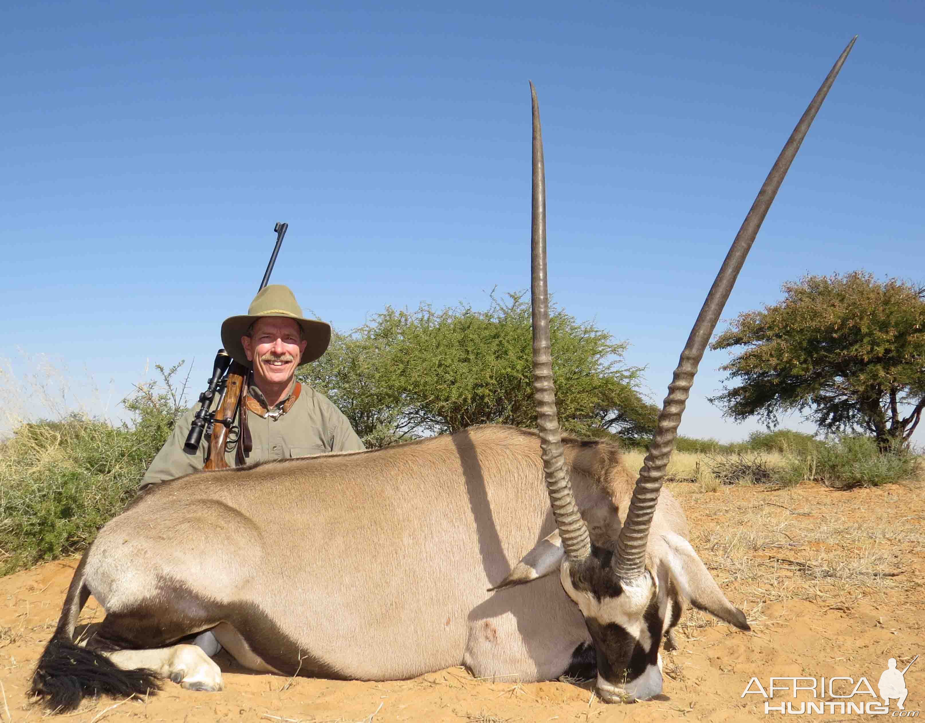 Gemsbok Bull