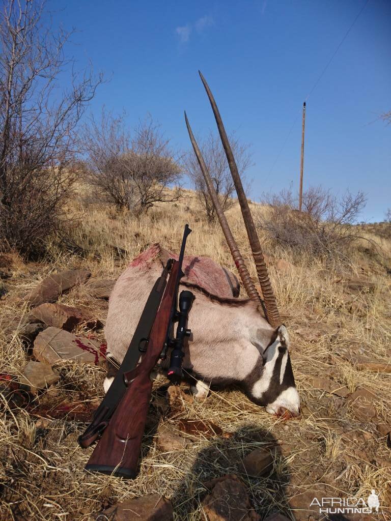 Gemsbok Female Cull Hunt