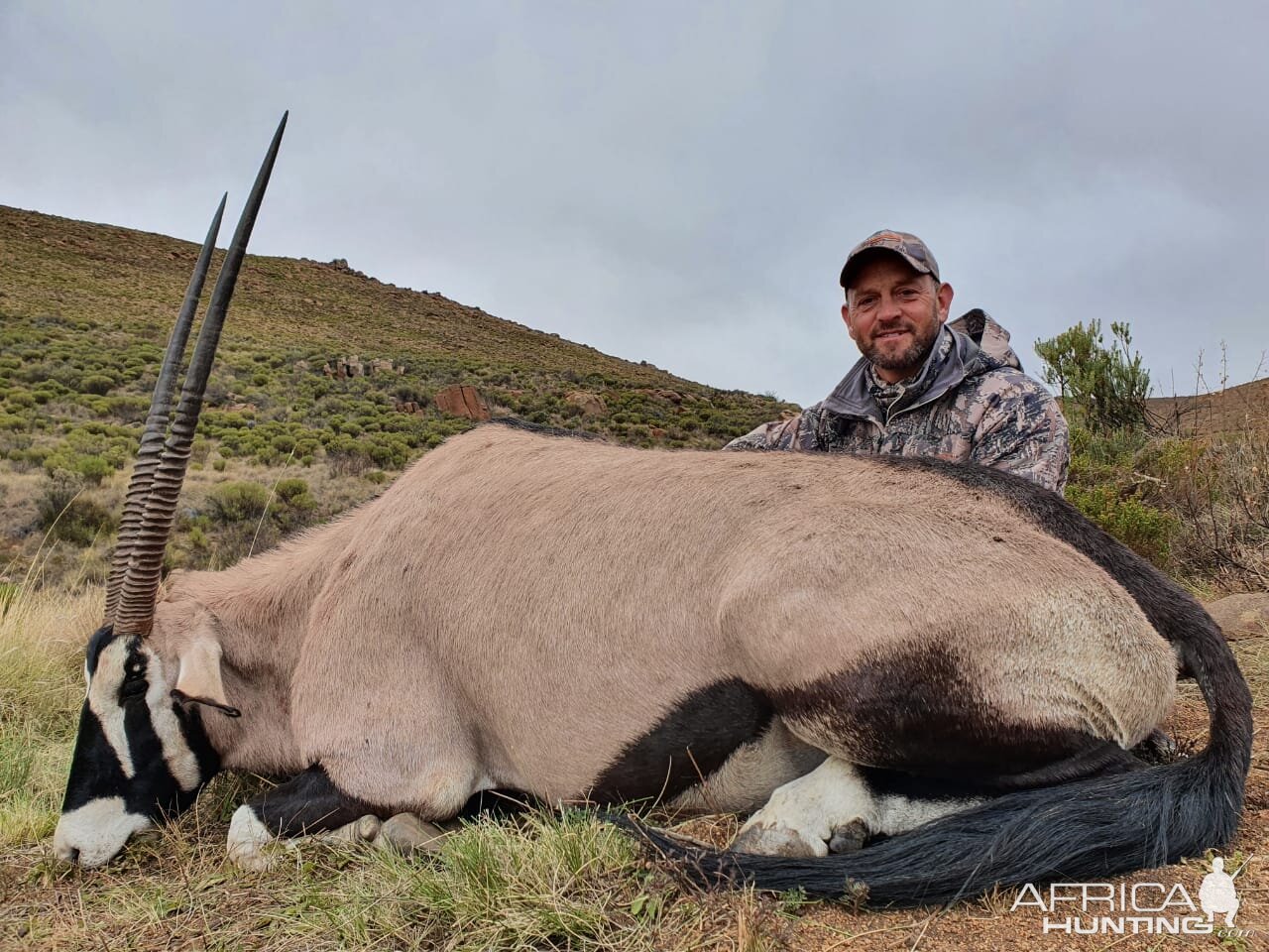 Gemsbok Hunt Eastern Cape South Africa