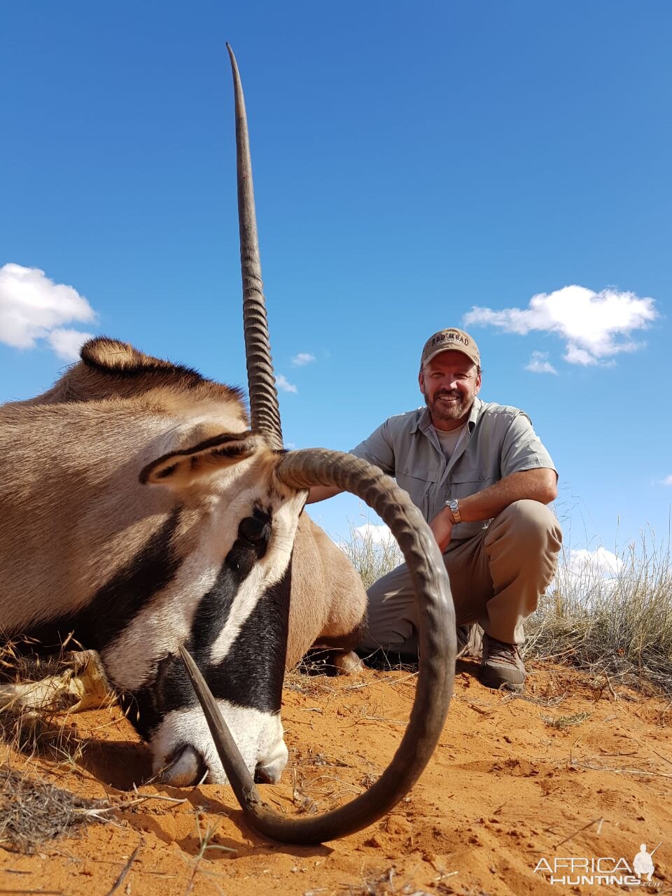 Gemsbok Hunt in Kalahari South Africa