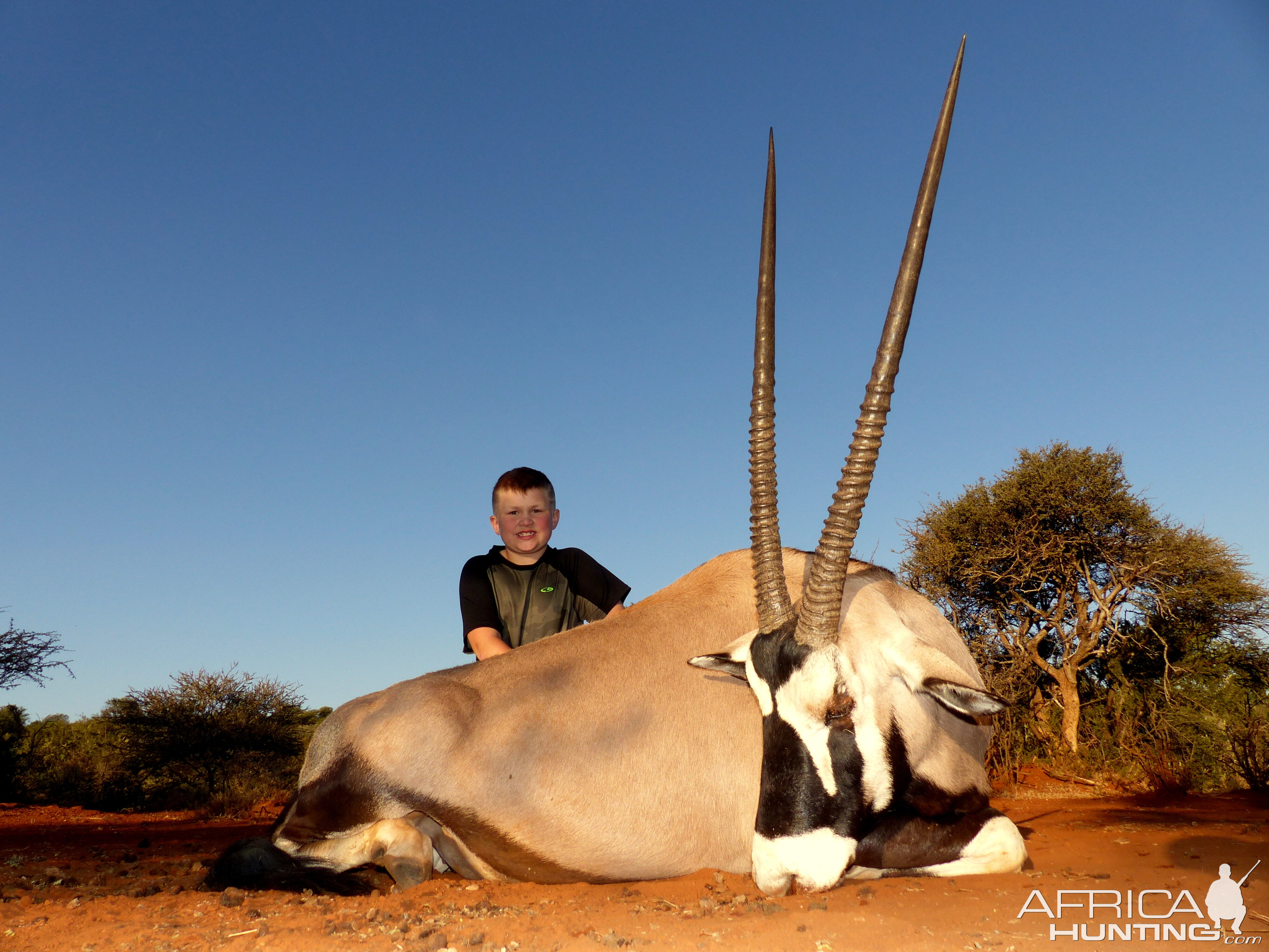 Gemsbok Hunt in South Africa