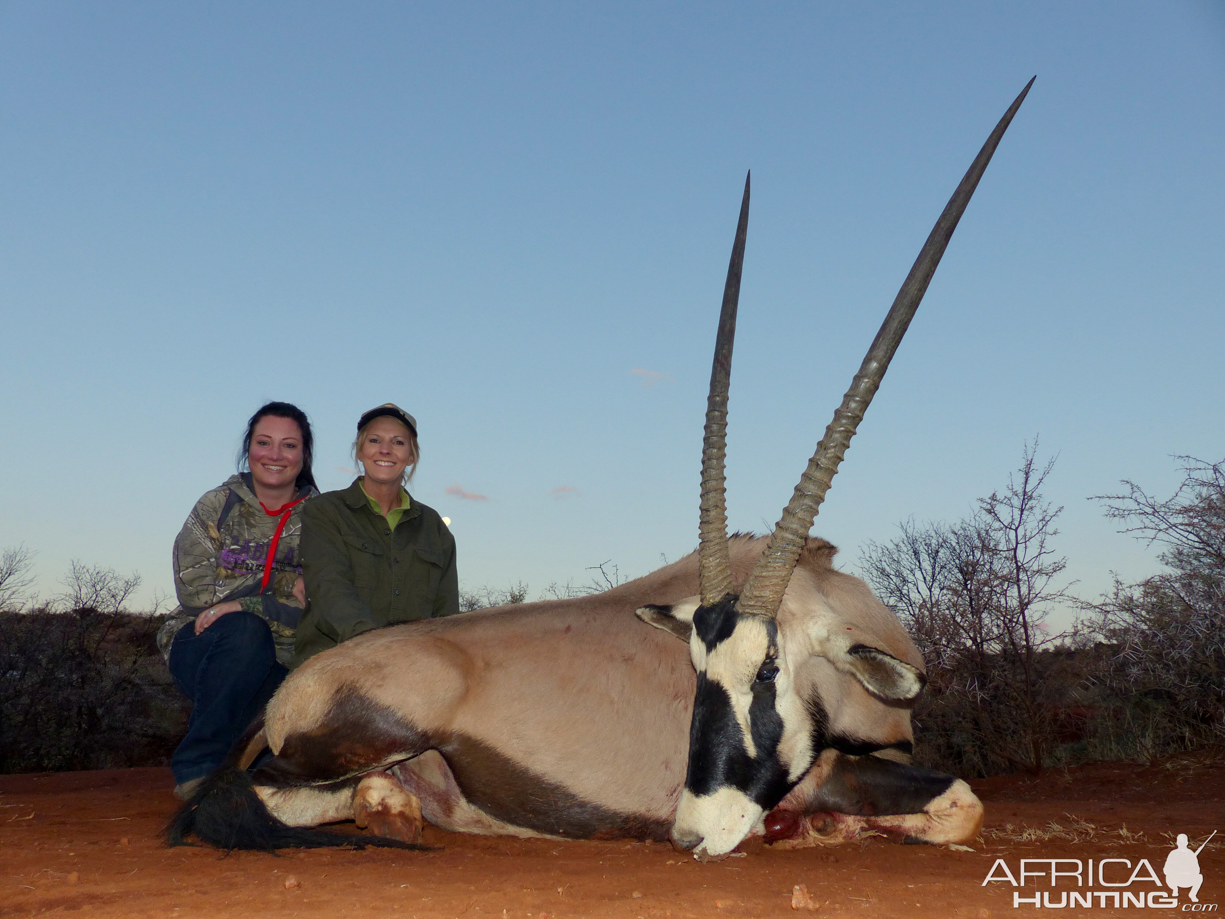 Gemsbok Hunt in South Africa