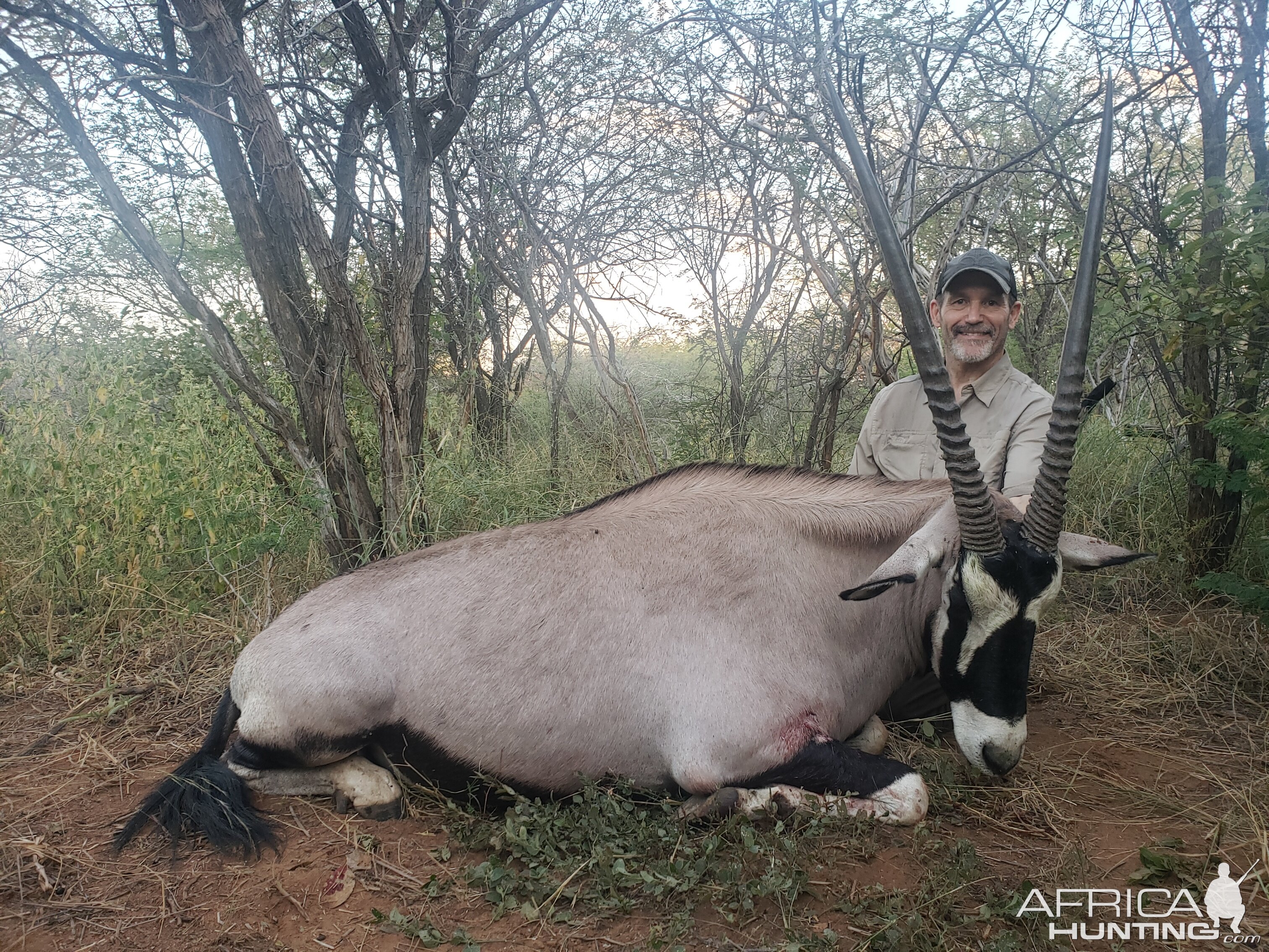 Gemsbok Hunt Limpopo South Africa