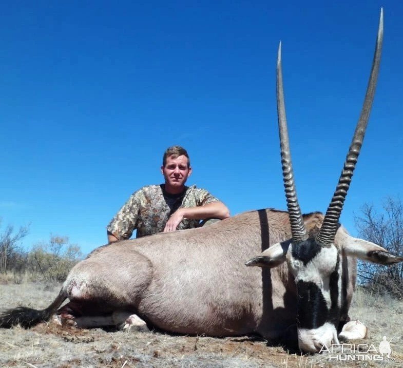 Gemsbok Hunt Limpopo South Africa