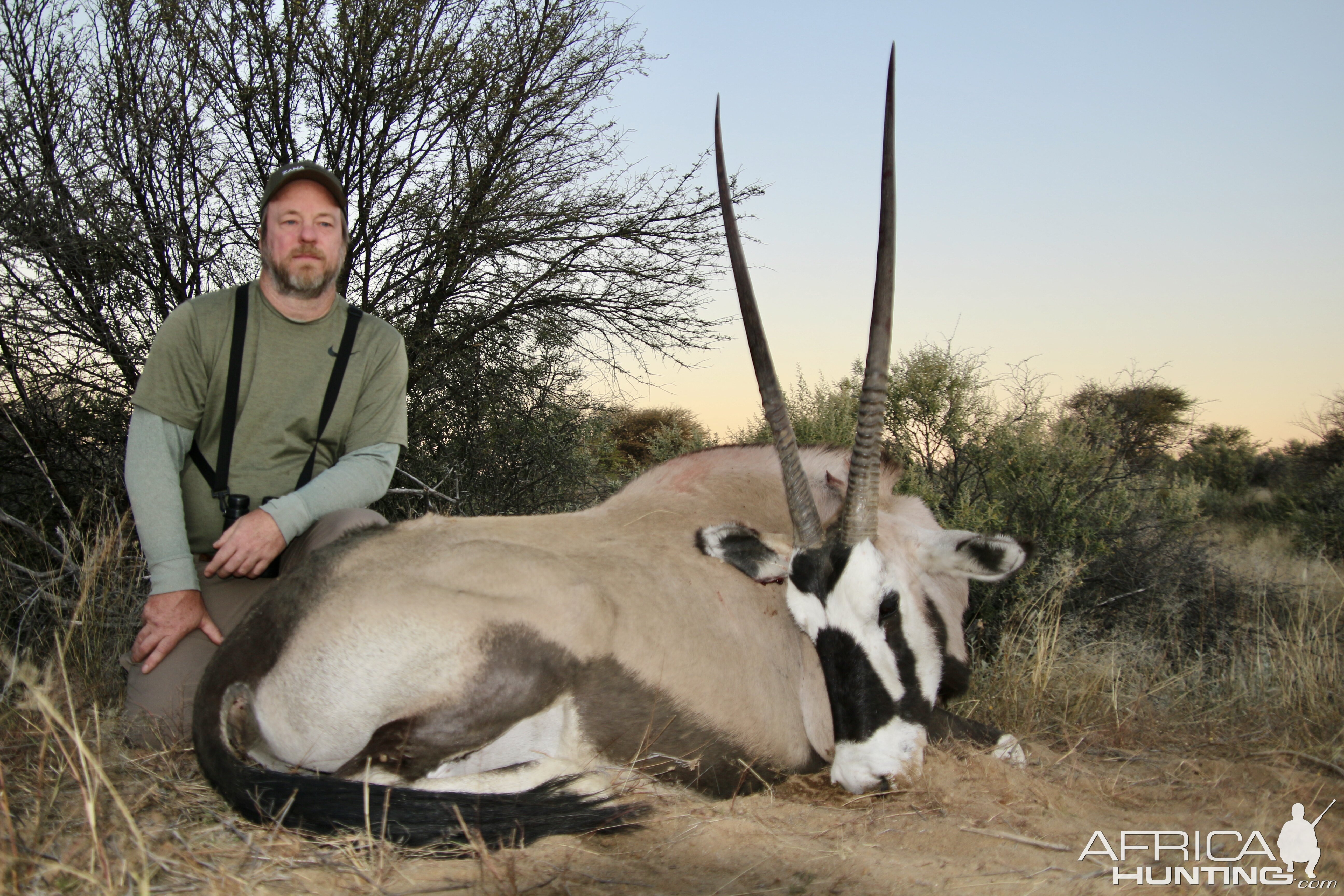 Gemsbok Hunt Namibia