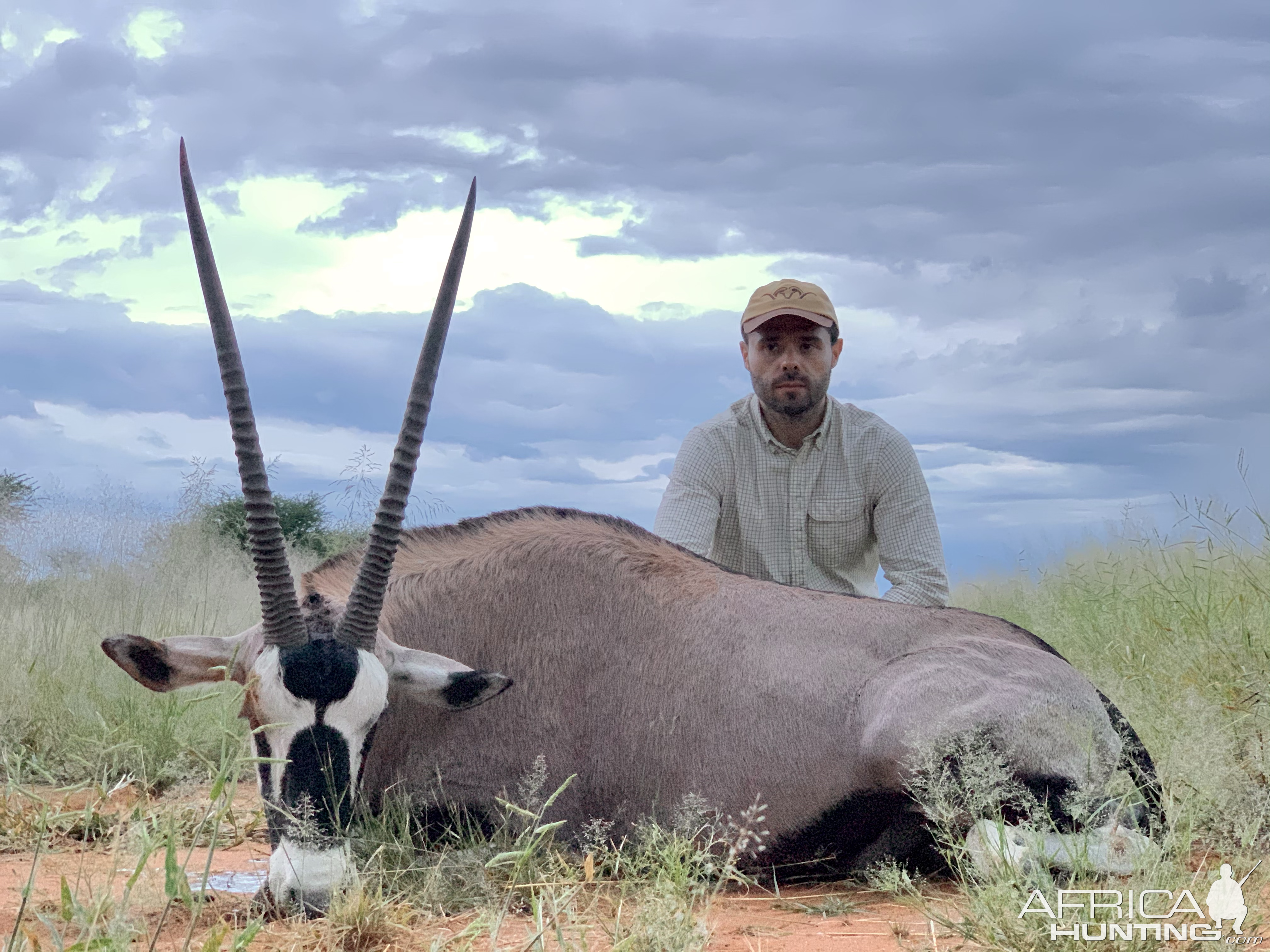 Gemsbok Hunt Namibia