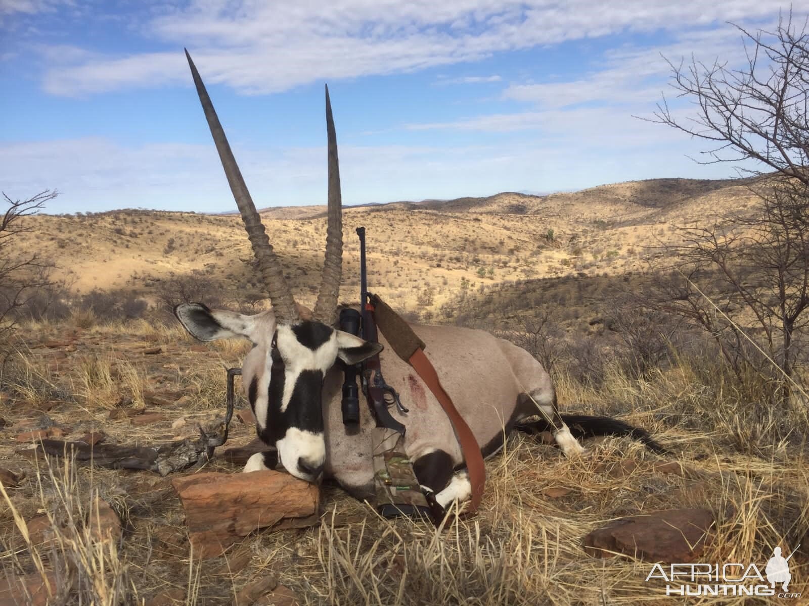 Gemsbok Hunt Namibia