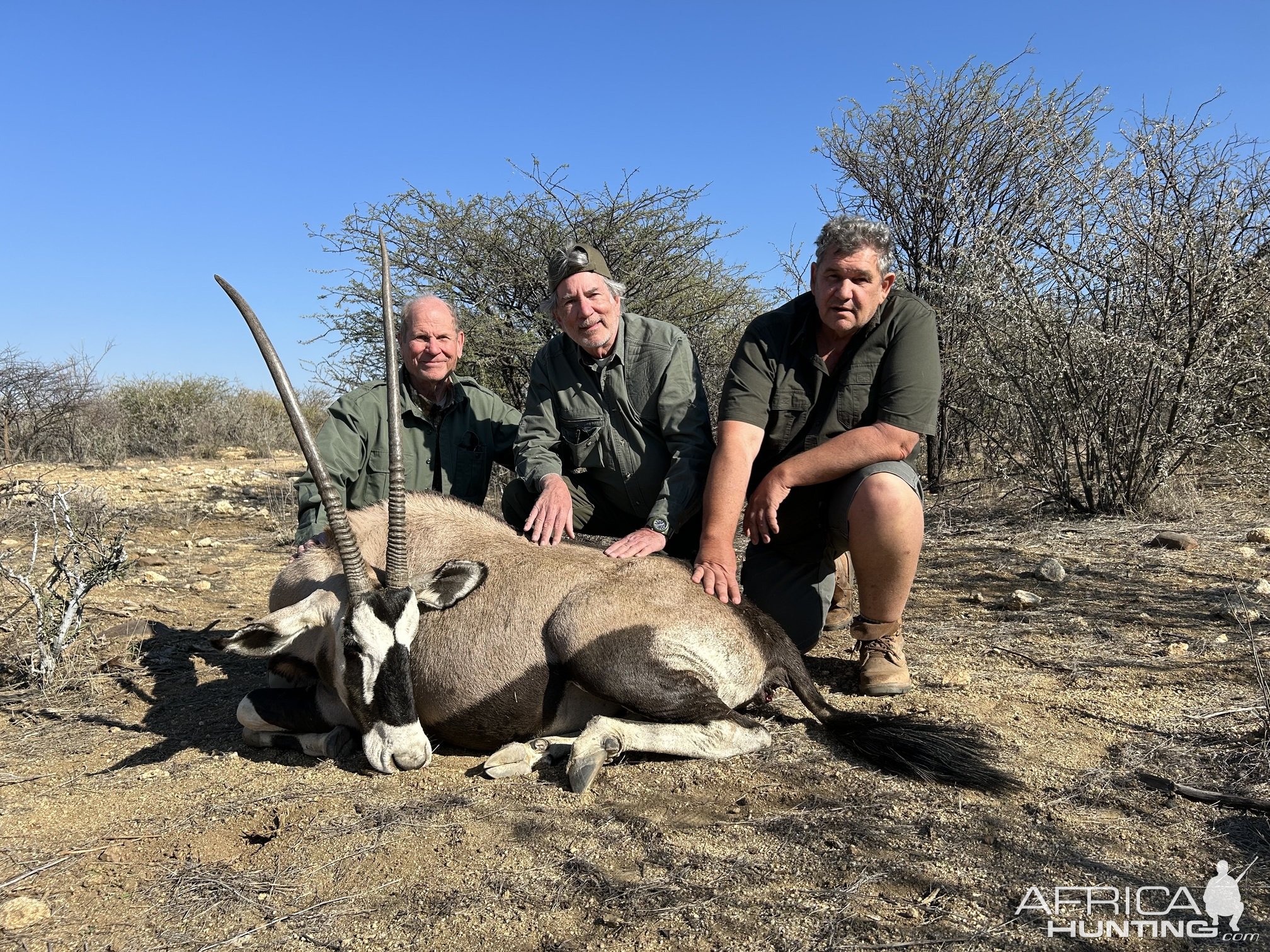 Gemsbok Hunt Namibia