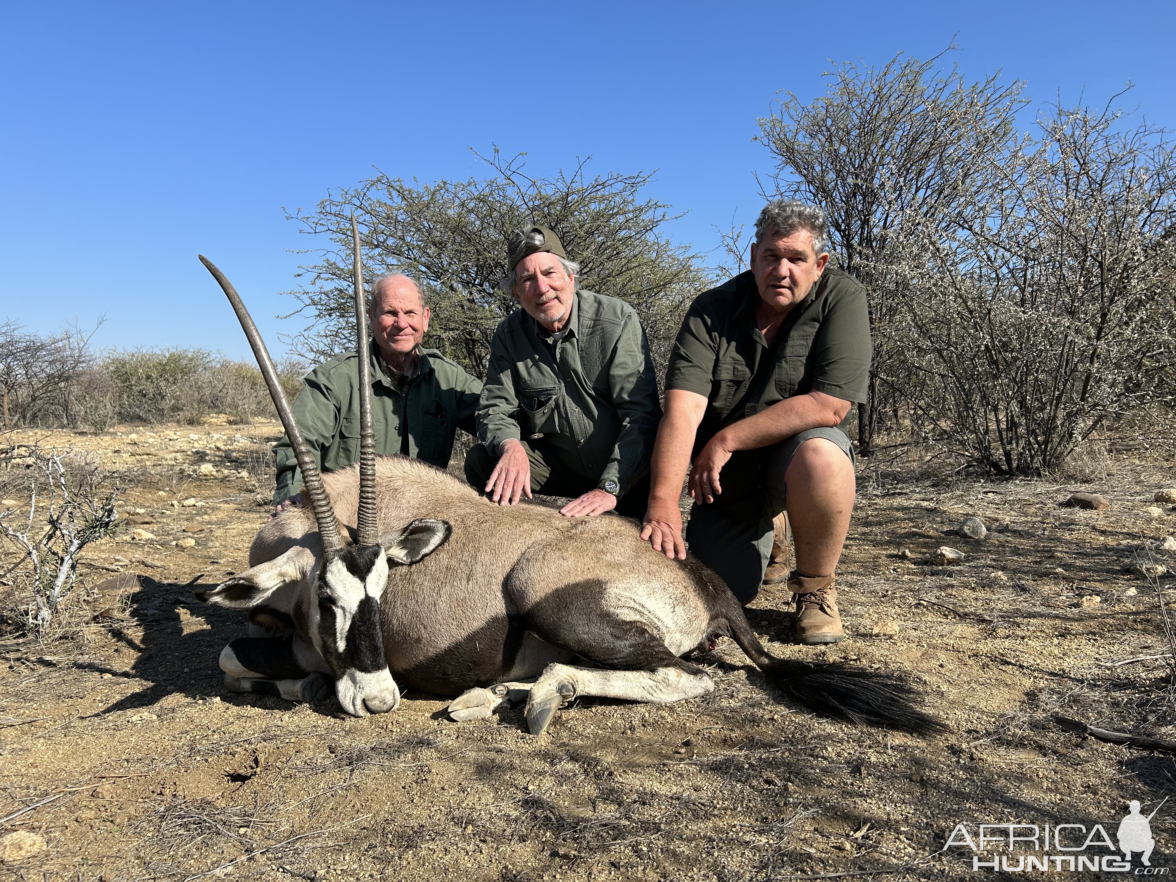 Gemsbok Hunt Namibia