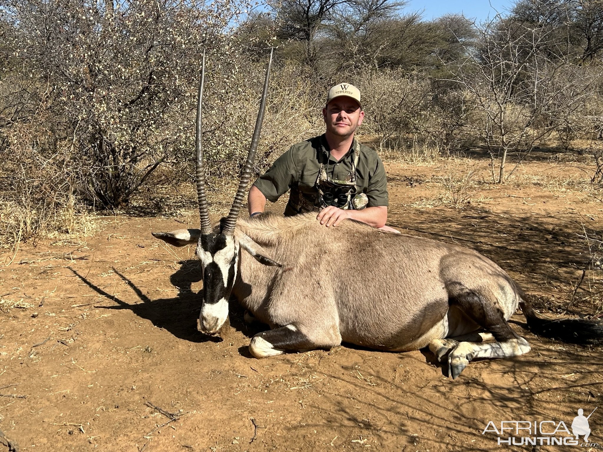 Gemsbok Hunt Namibia