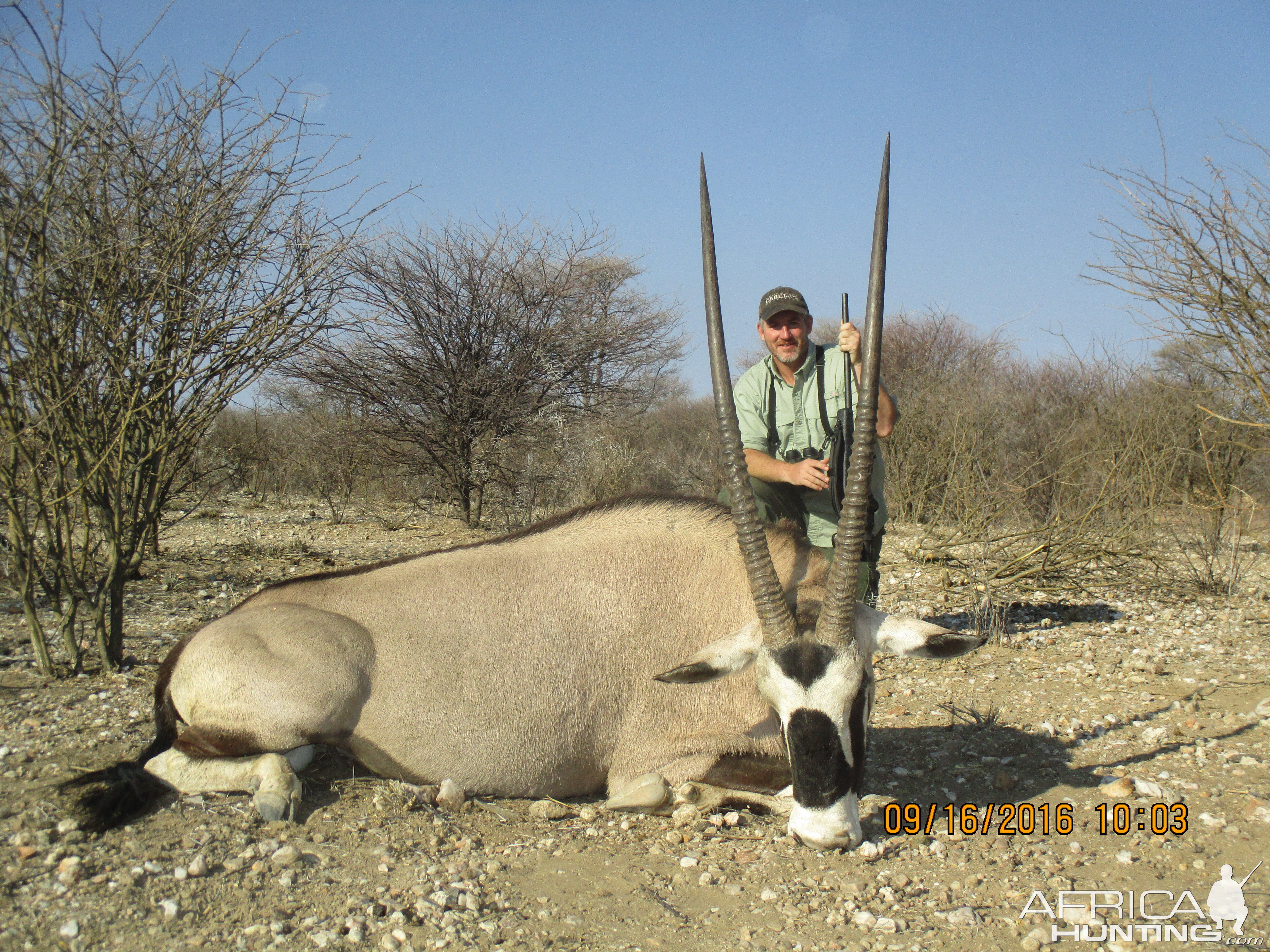 Gemsbok Hunt Namibia