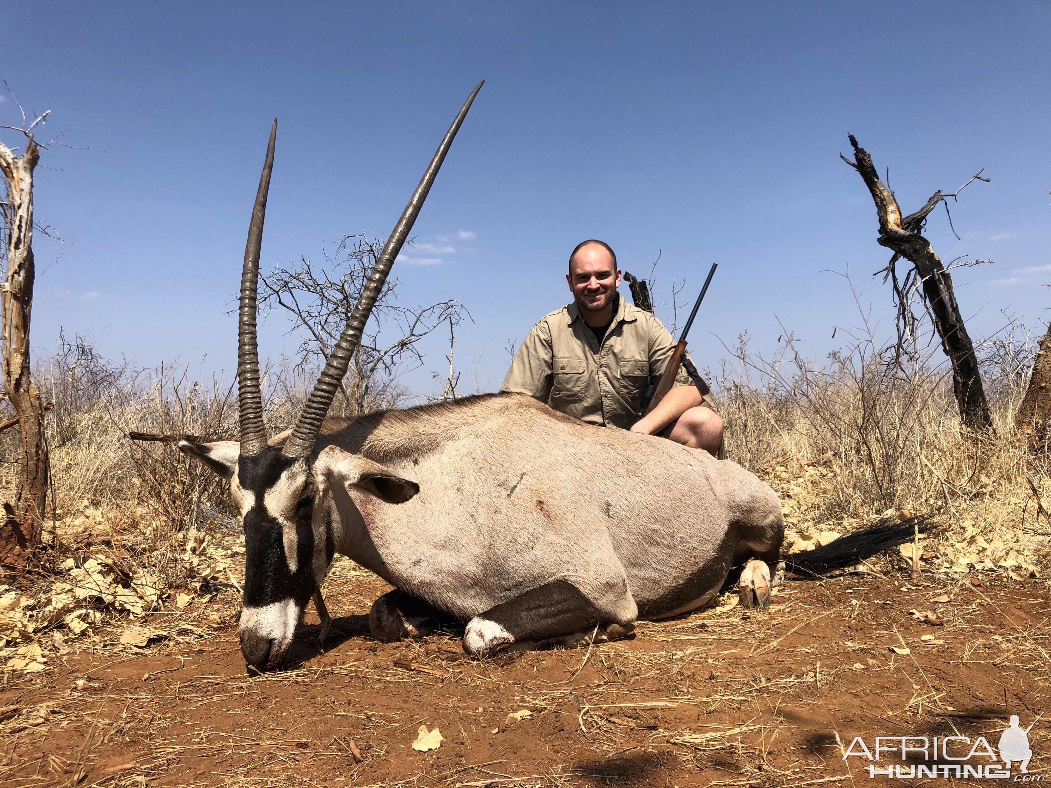 Gemsbok Hunt Namibia