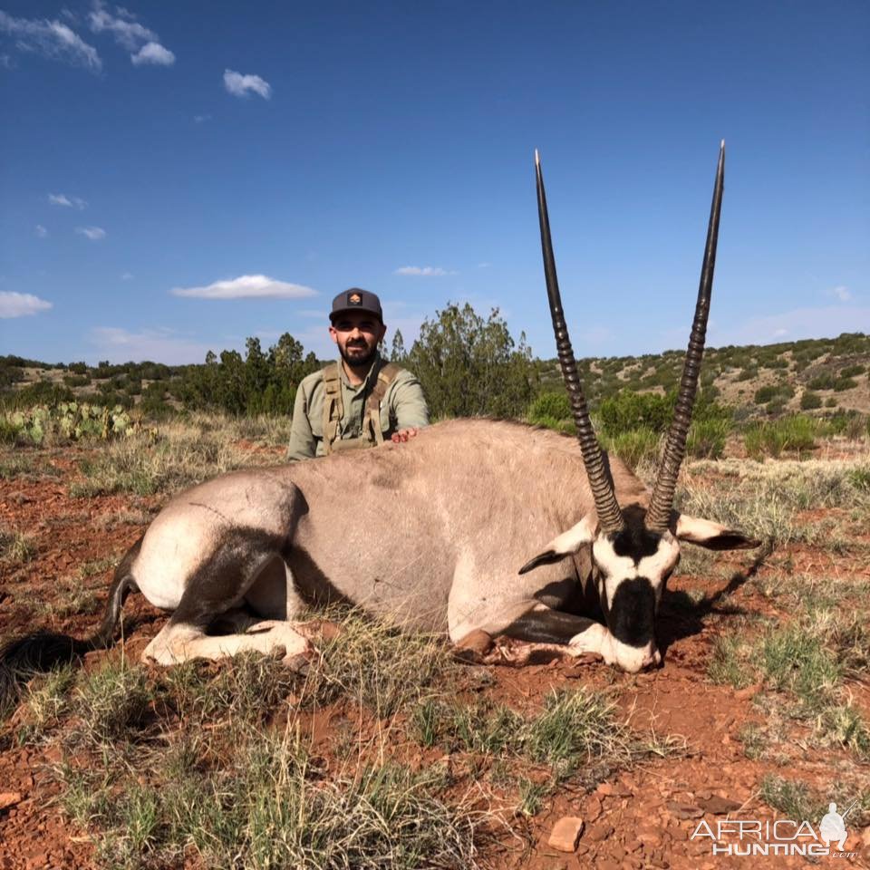 Gemsbok Hunt New Mexico