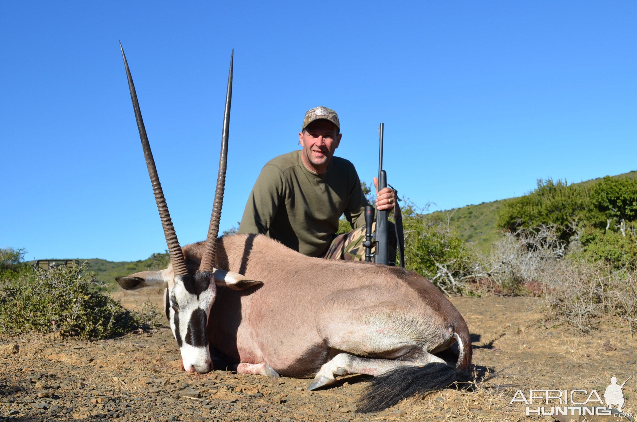 Gemsbok Hunt South Africa