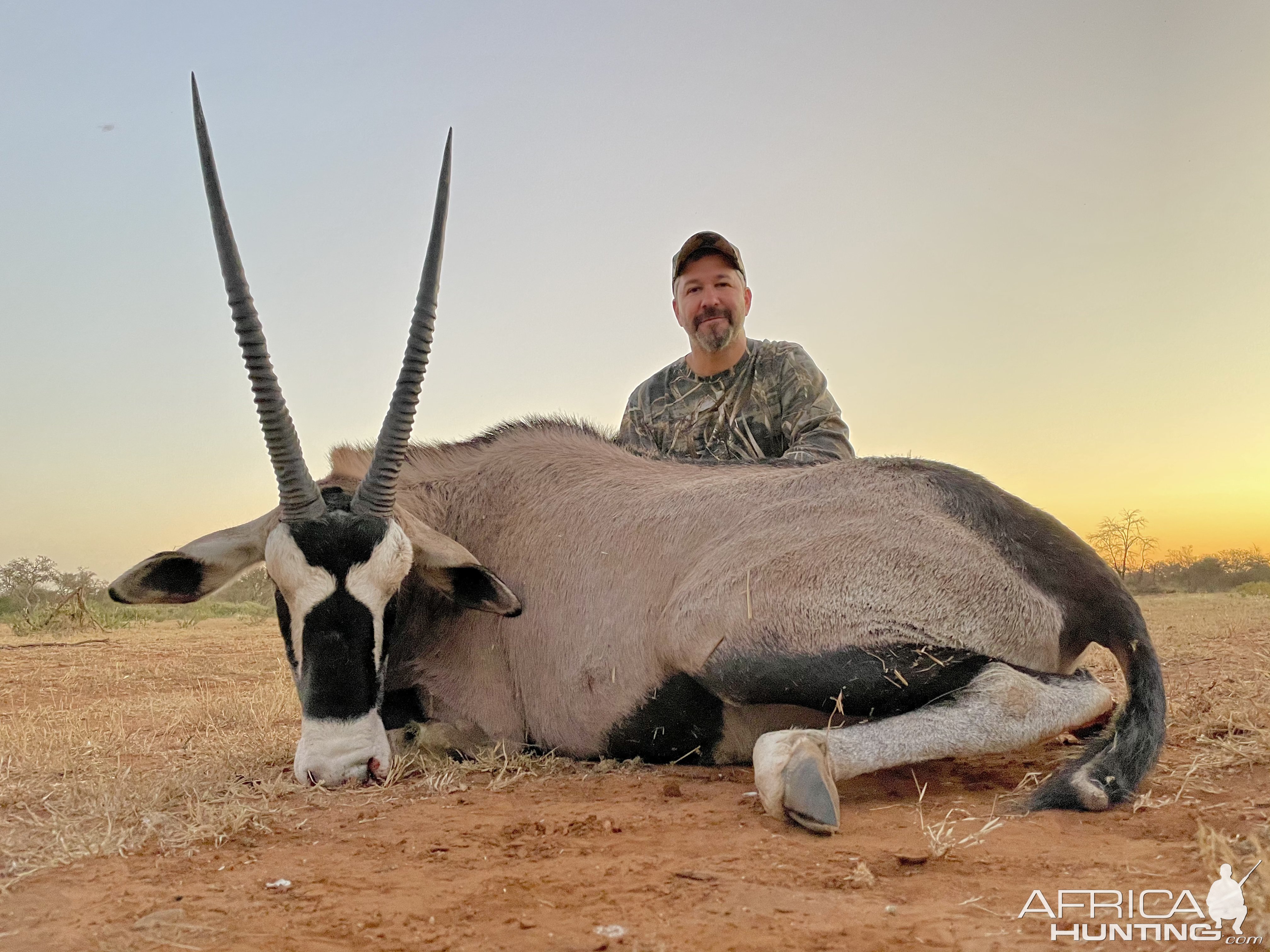 Gemsbok Hunt South Africa