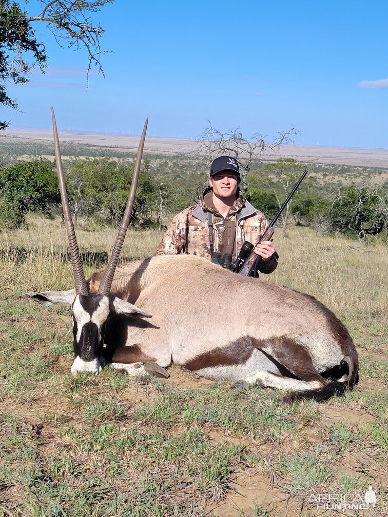 Gemsbok Hunt South Africa