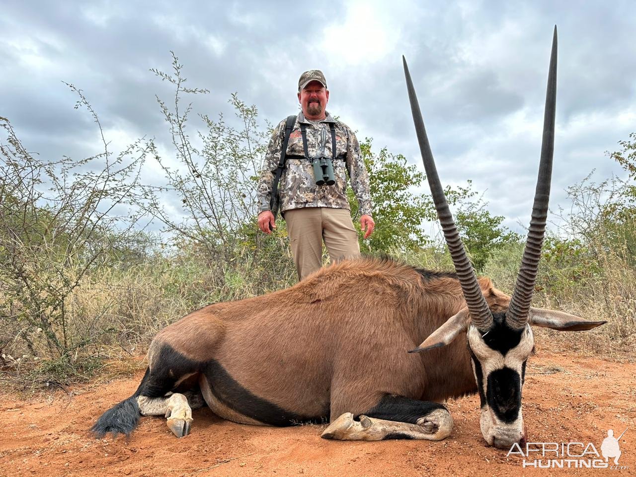 Gemsbok Hunt South Africa