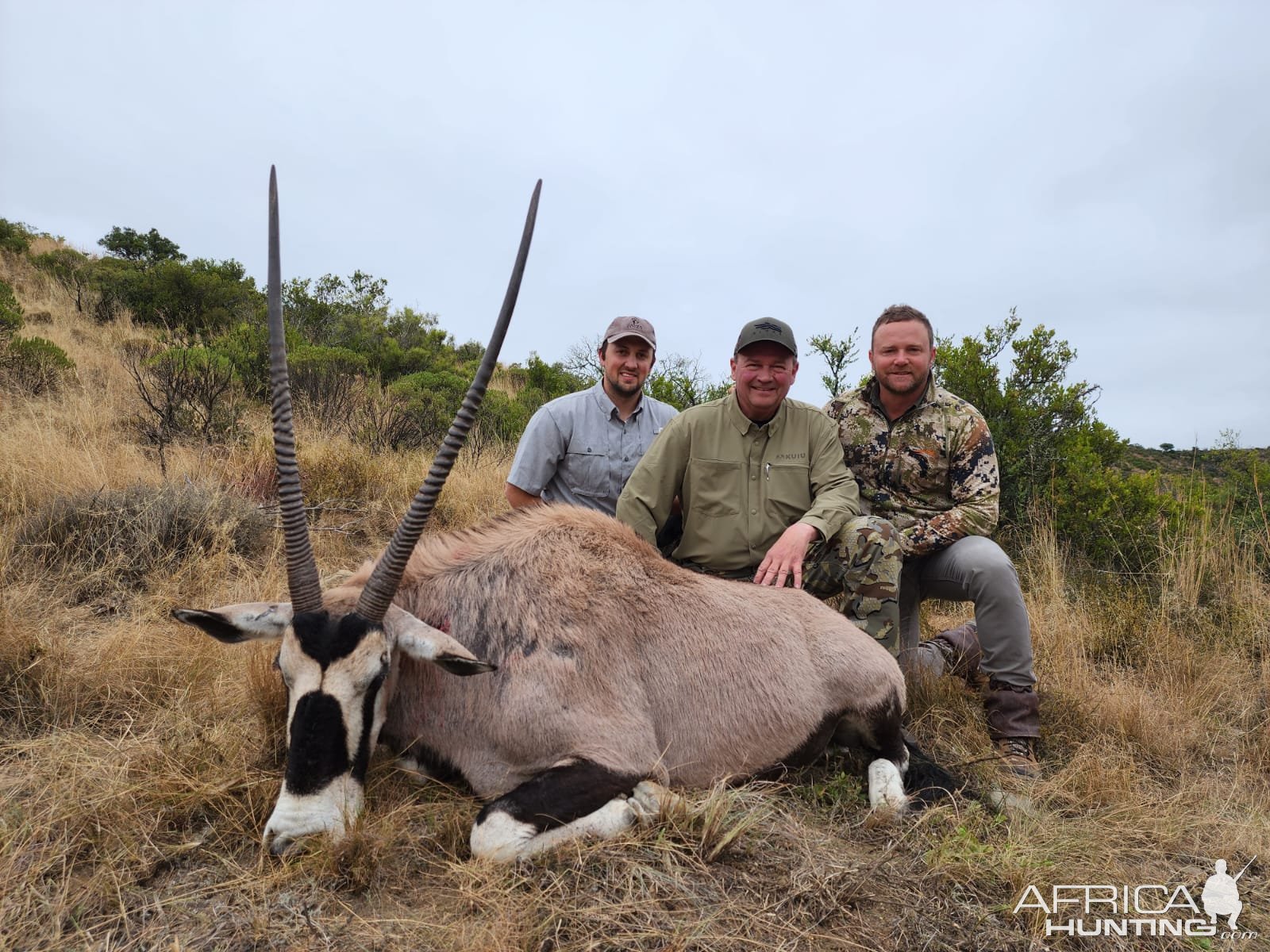 Gemsbok Hunt South Africa