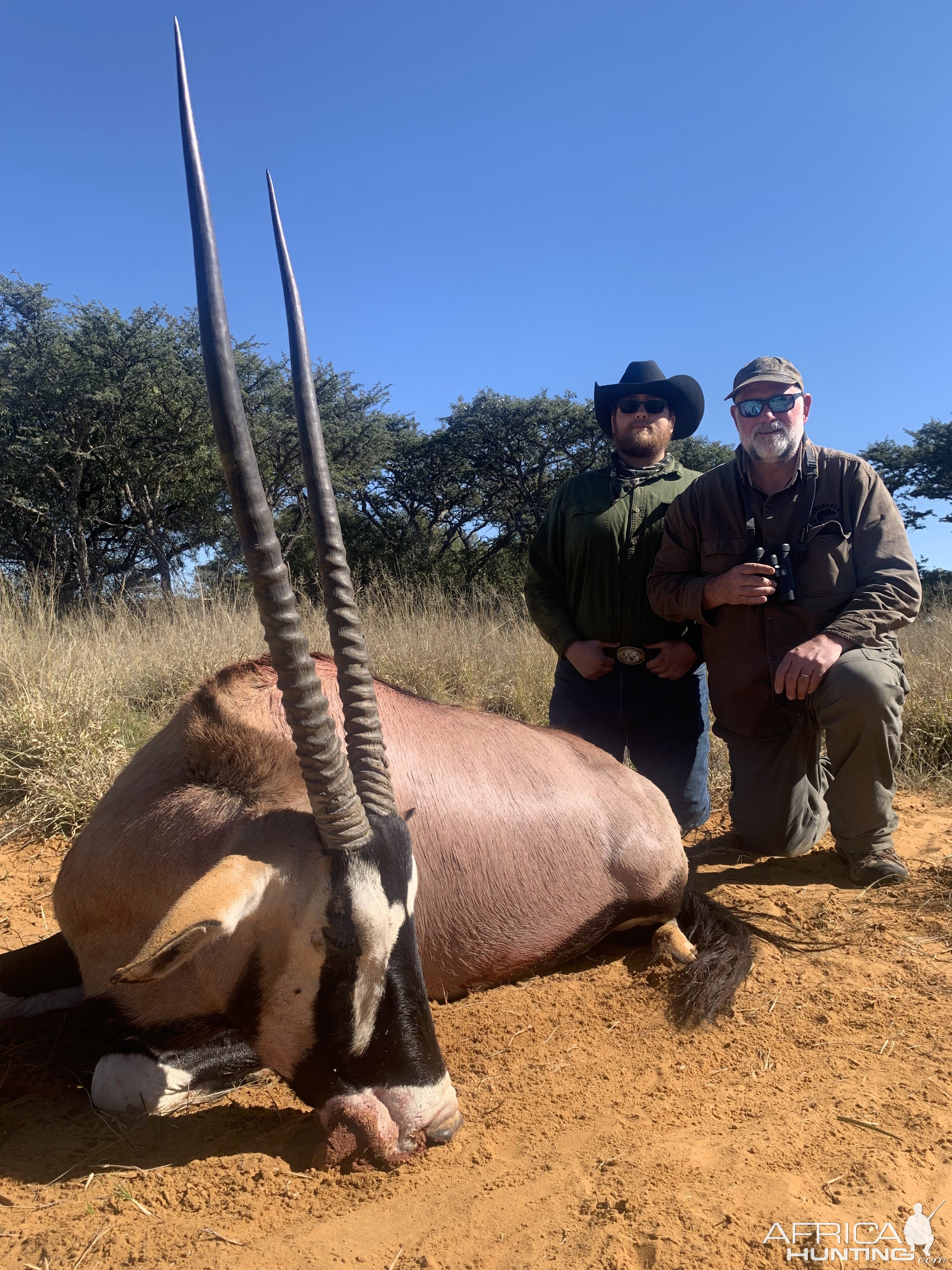 Gemsbok Hunt South Africa