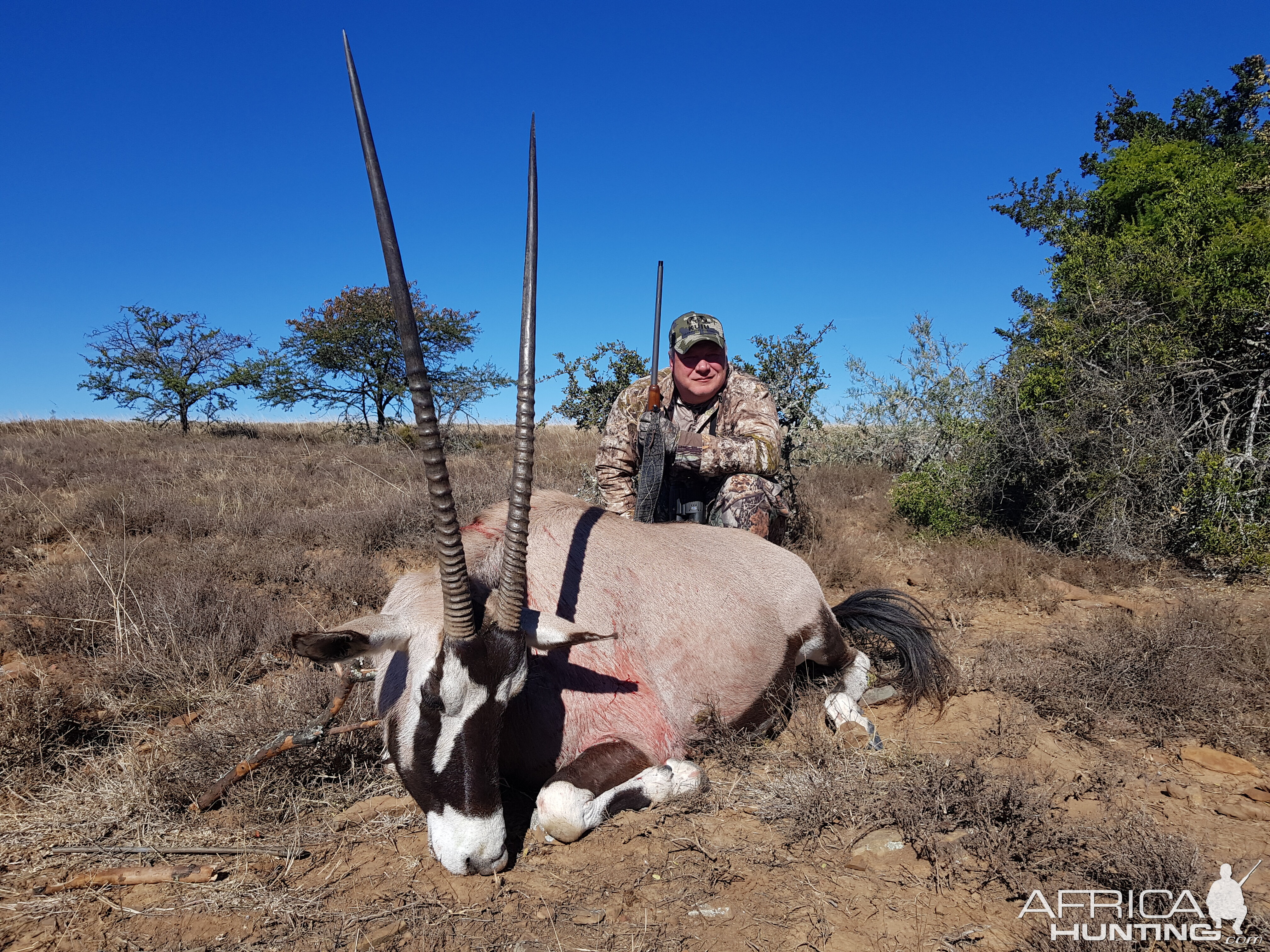 Gemsbok Hunt South Africa