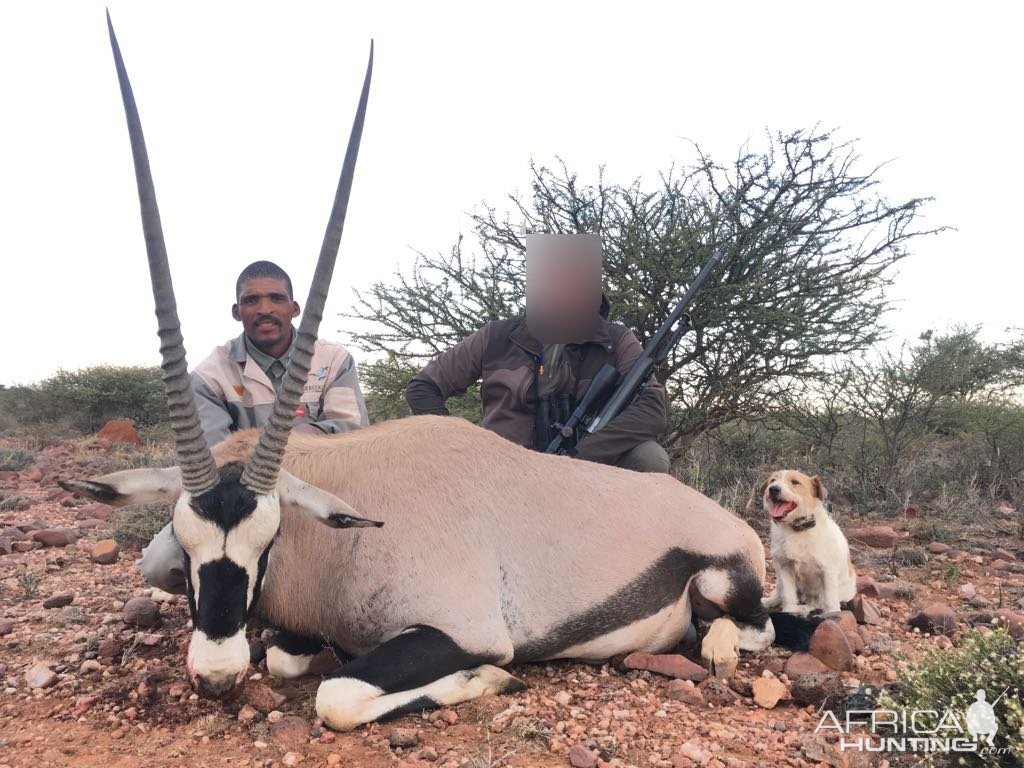 Gemsbok Hunt South Africa