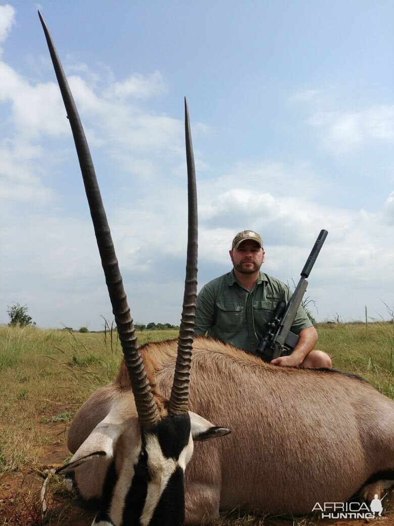 Gemsbok Hunt South Africa