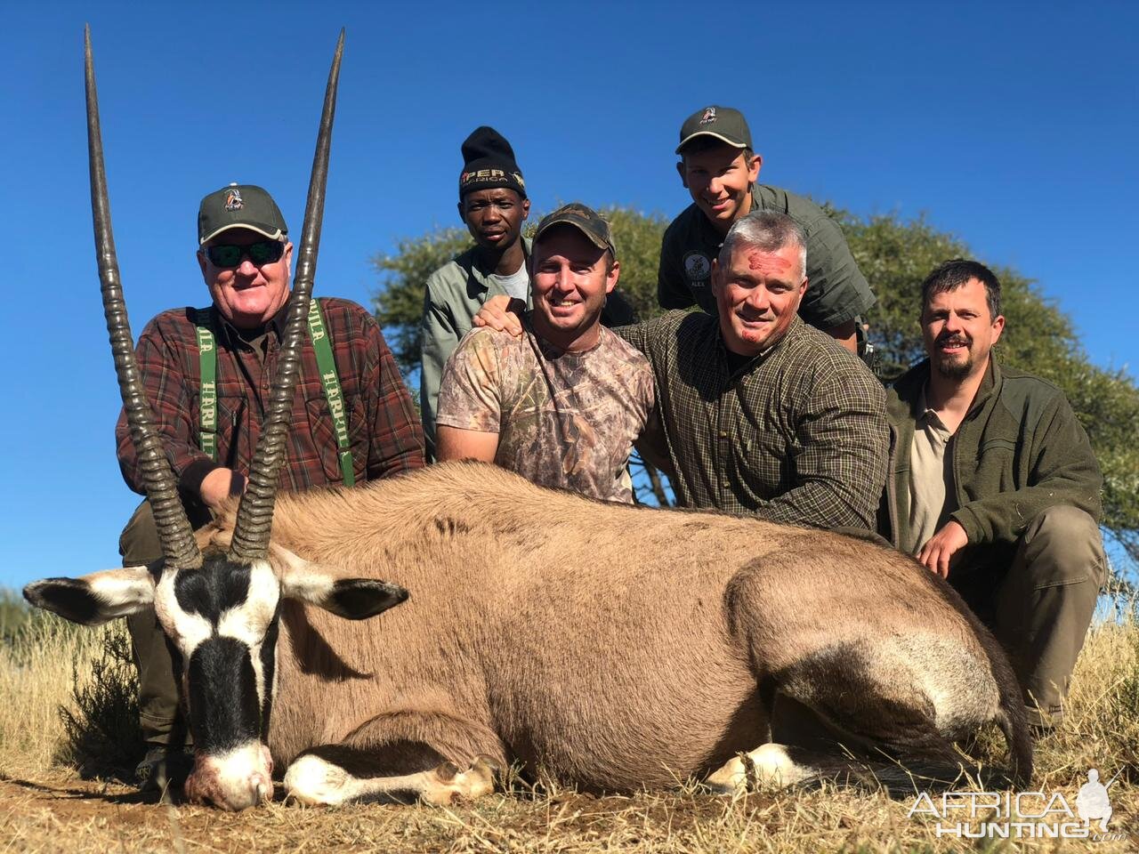 Gemsbok Hunt South Africa