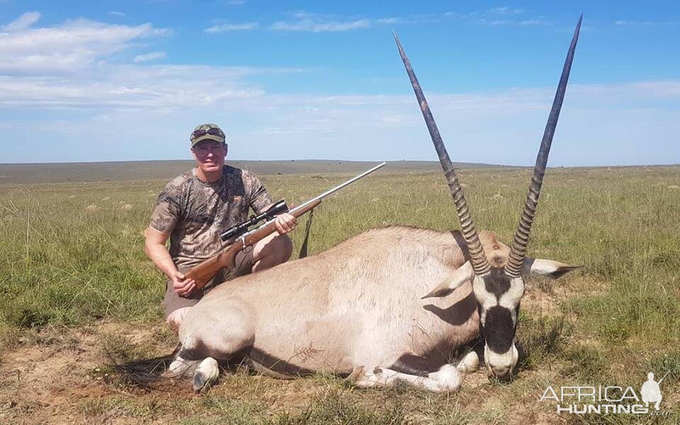 Gemsbok Hunt South Africa