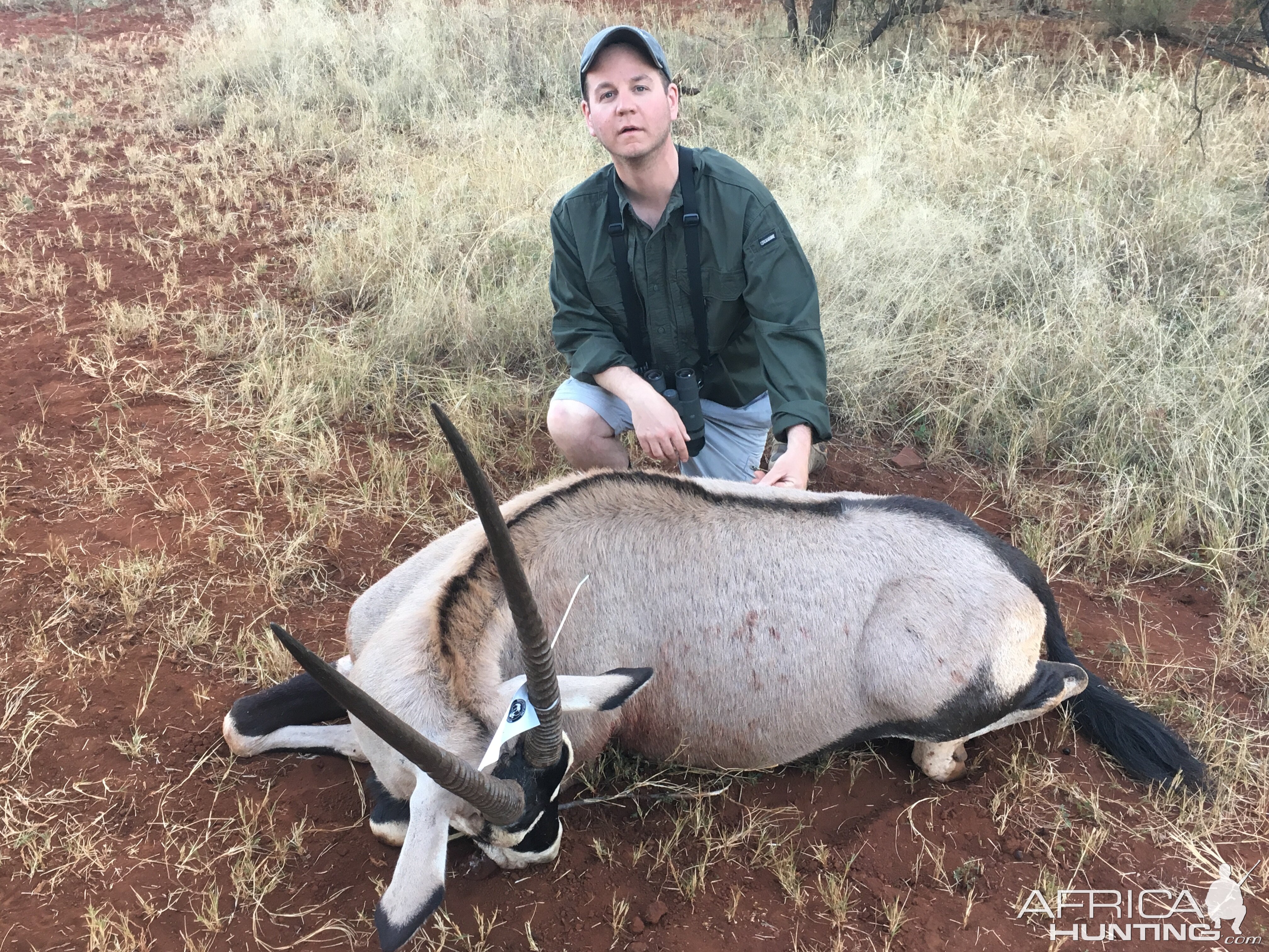 Gemsbok Hunt South Africa