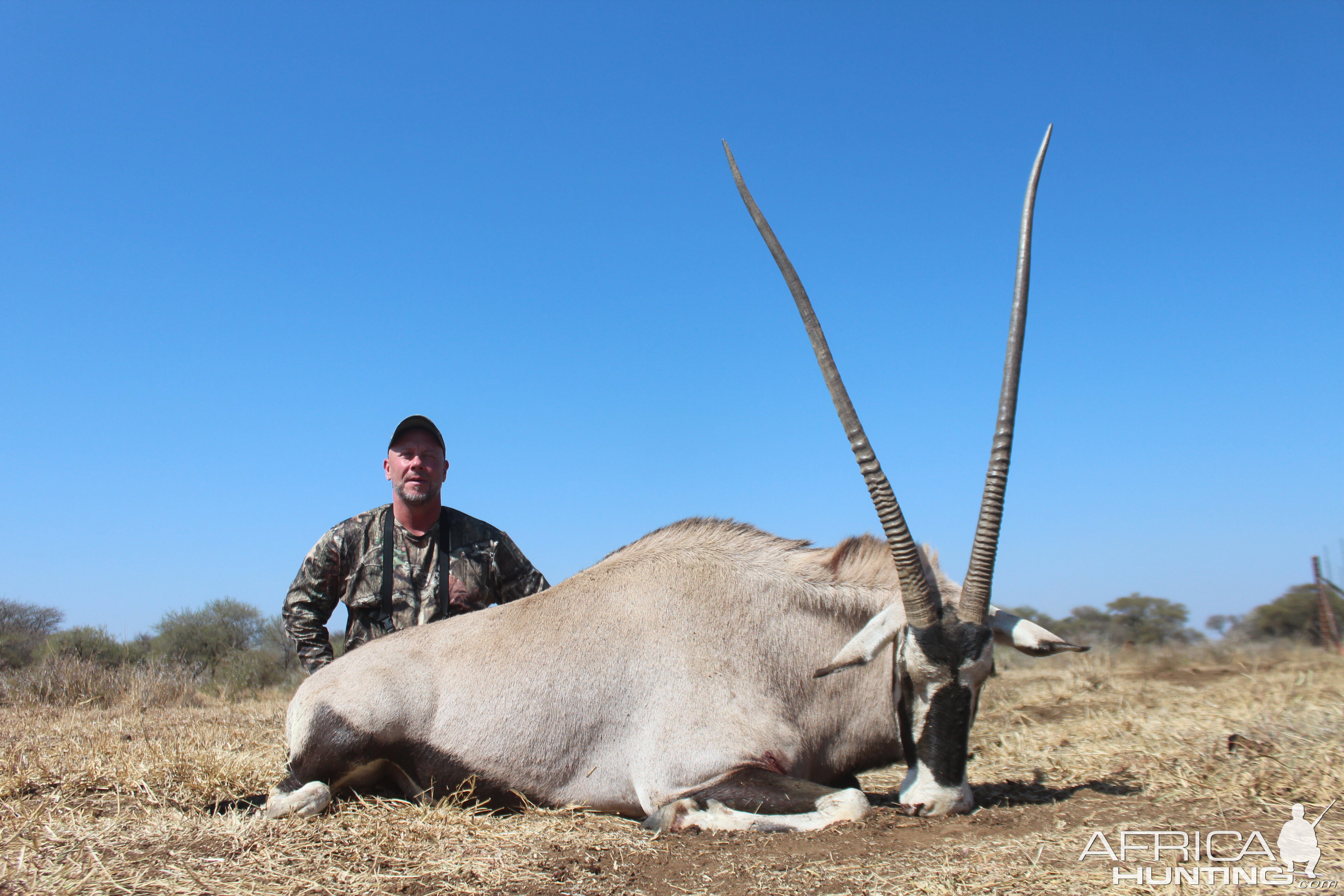 Gemsbok Hunt South Africa