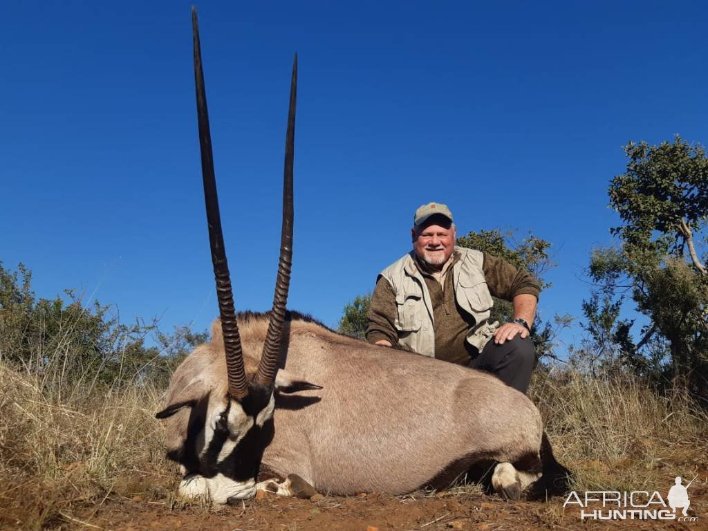 Gemsbok Hunt Western Province South Africa