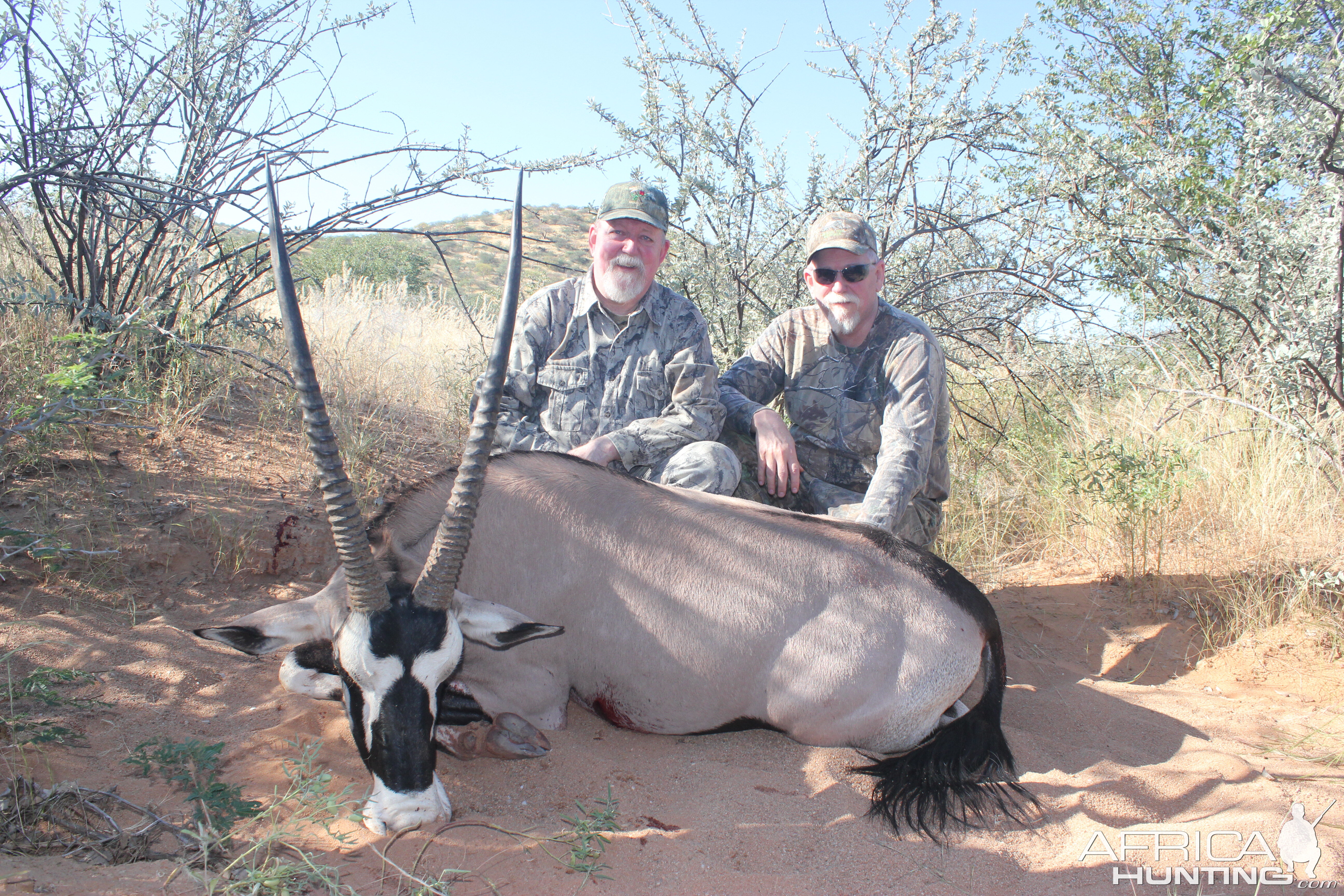 Gemsbok Hunt Windhoek Namibia