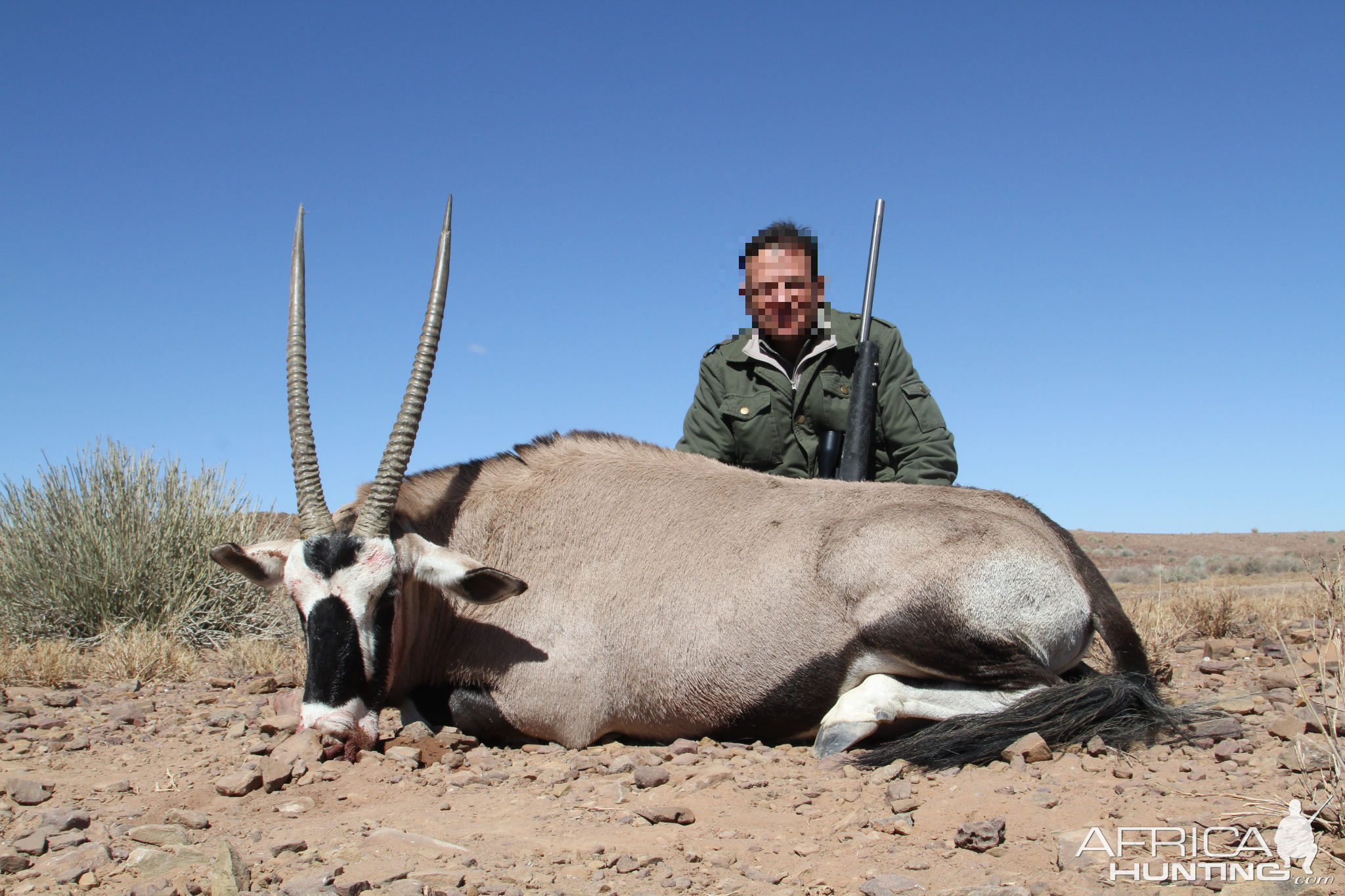 Gemsbok Hunt