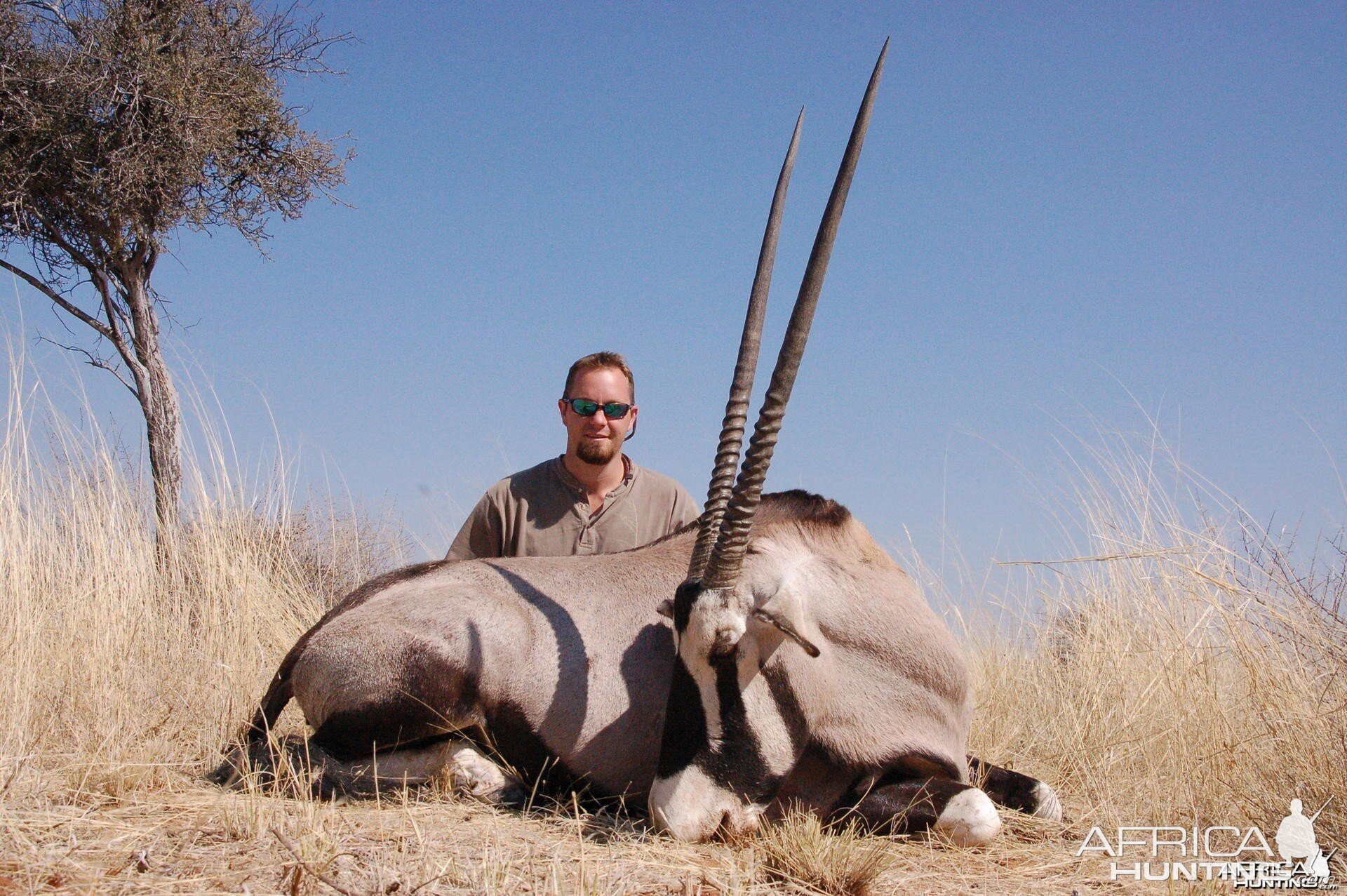 Gemsbok hunted in Namibia