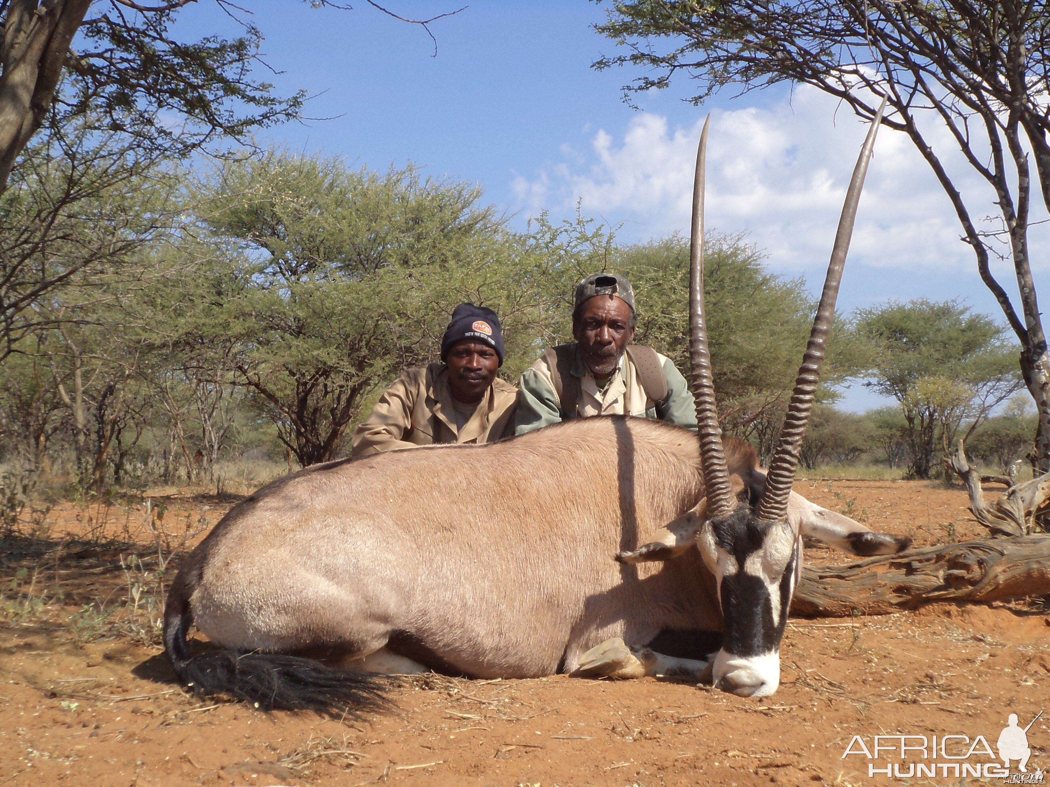 Gemsbok hunted with Ozondjahe Hunting Safaris in Namibia