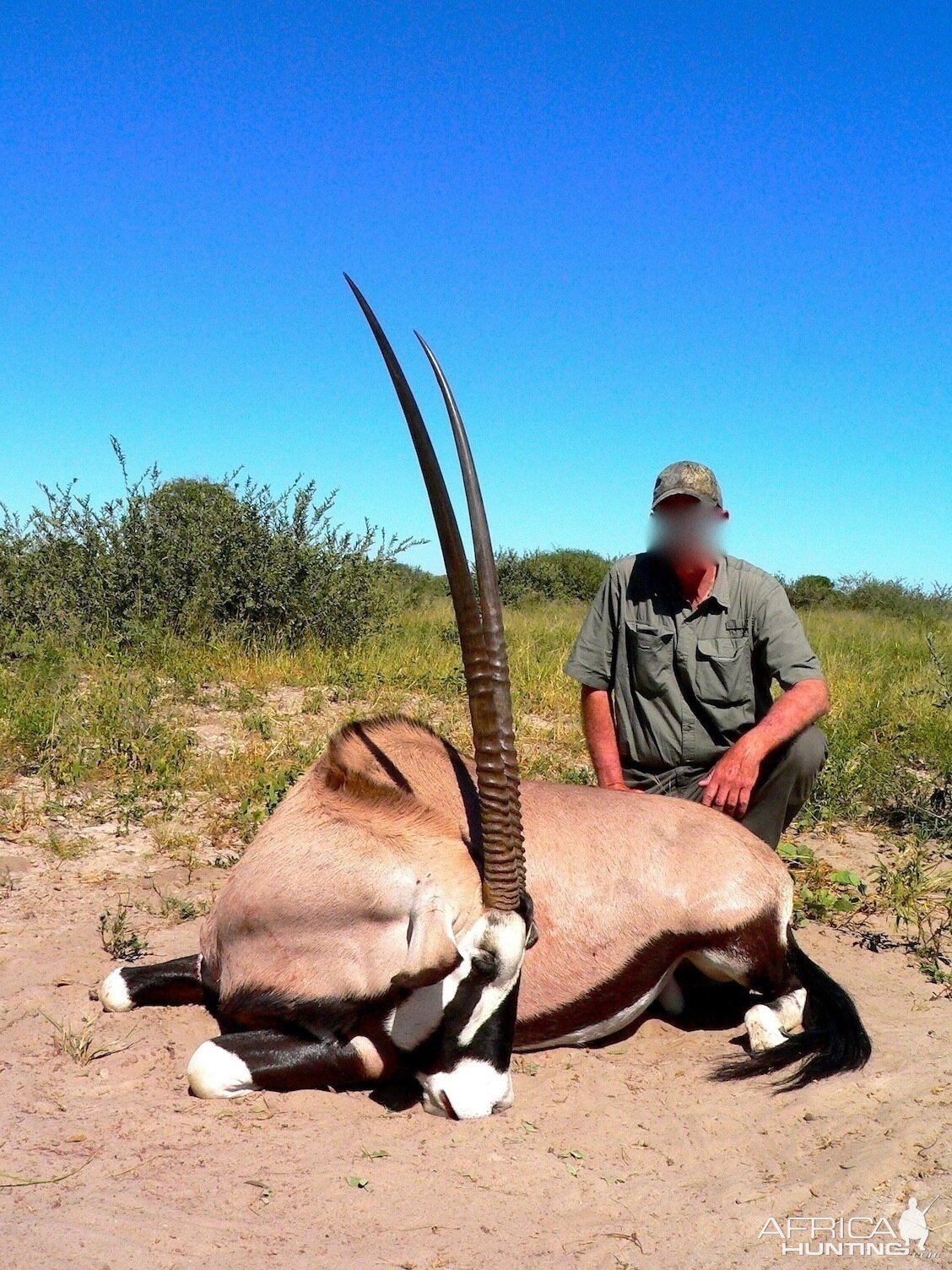 Gemsbok Hunting Botswana