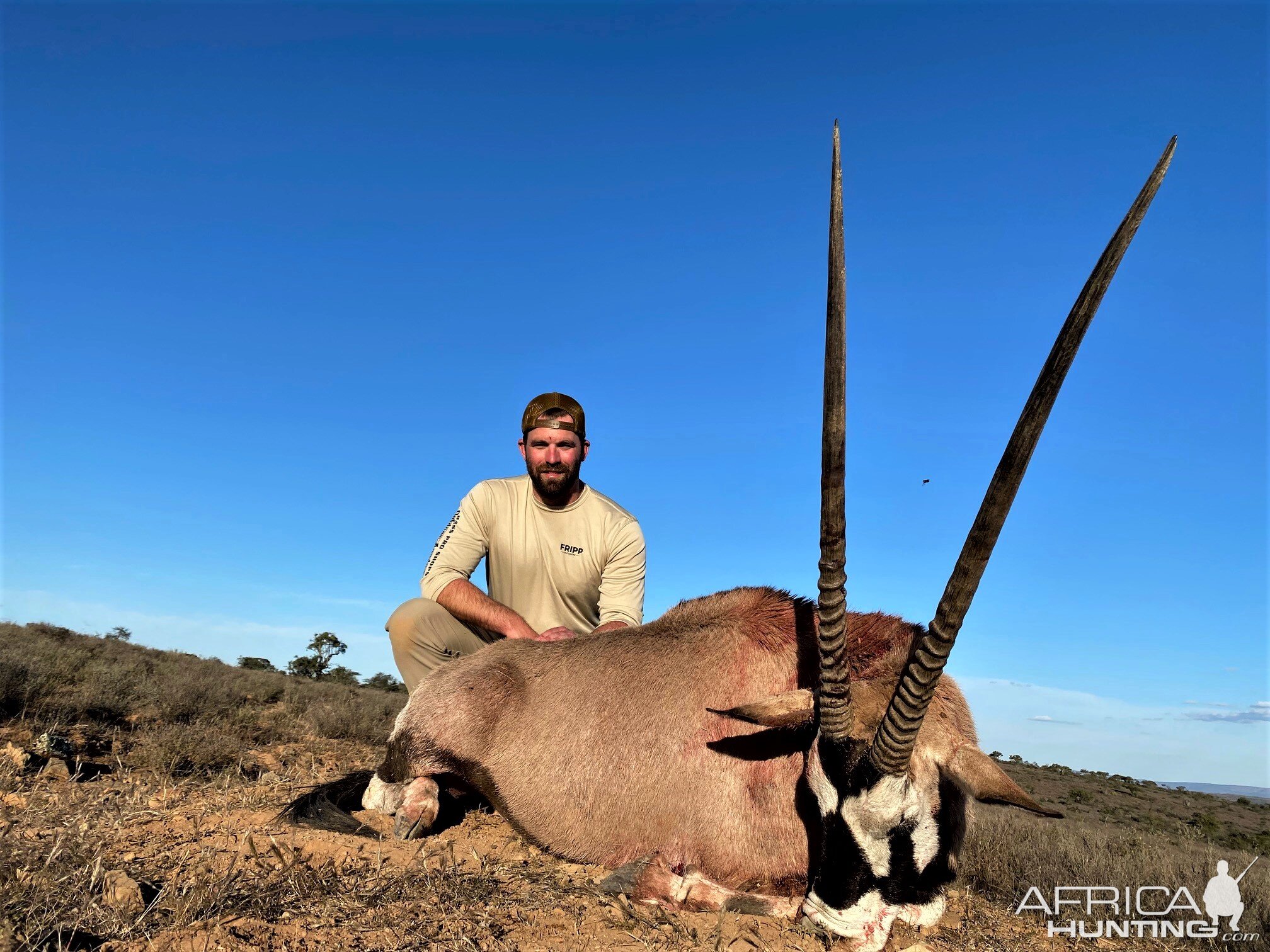 Gemsbok Hunting Eastern Cape South Africa