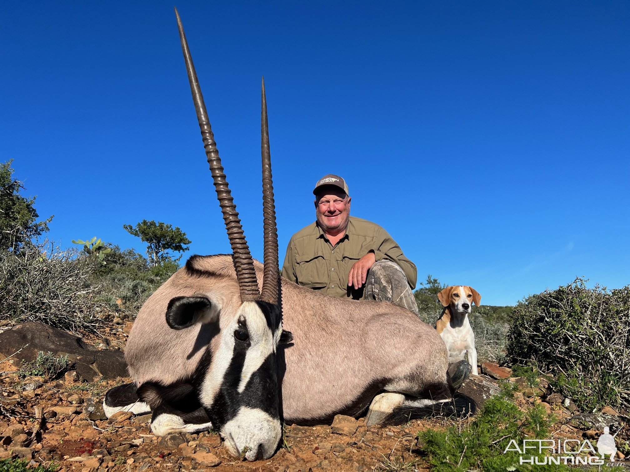 Gemsbok Hunting Eastern Cape South Africa