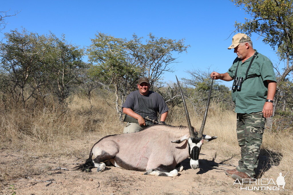 Gemsbok Hunting in South Africa