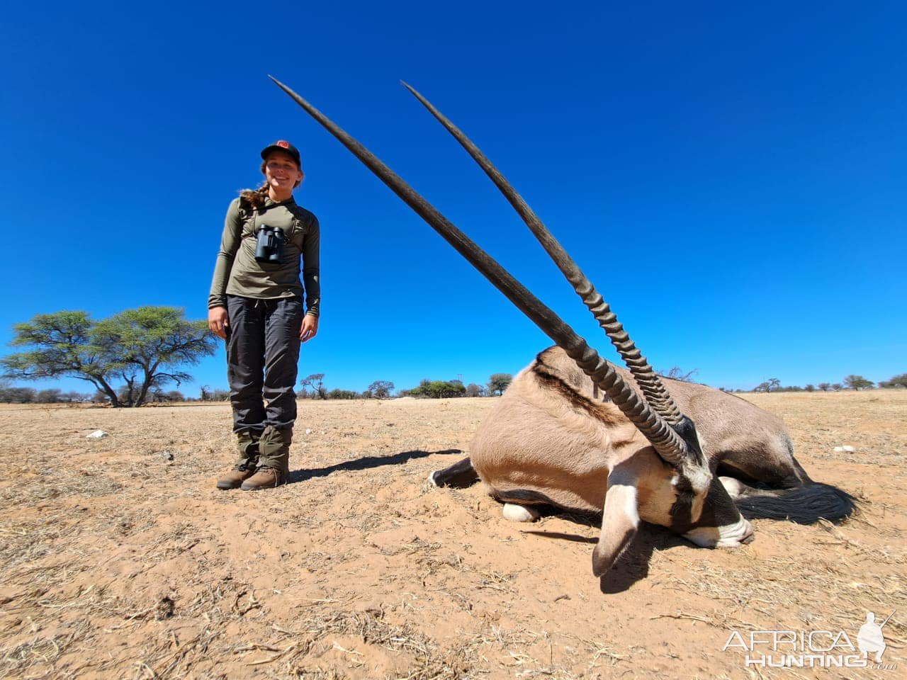 Gemsbok Hunting Kalahari South Africa