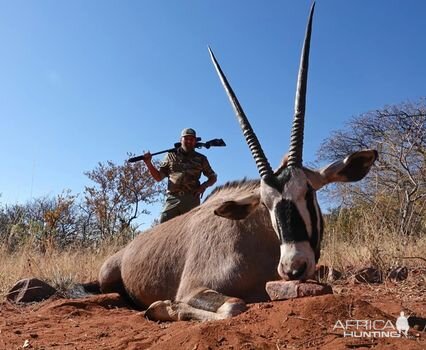 Gemsbok Hunting Limpopo South Africa