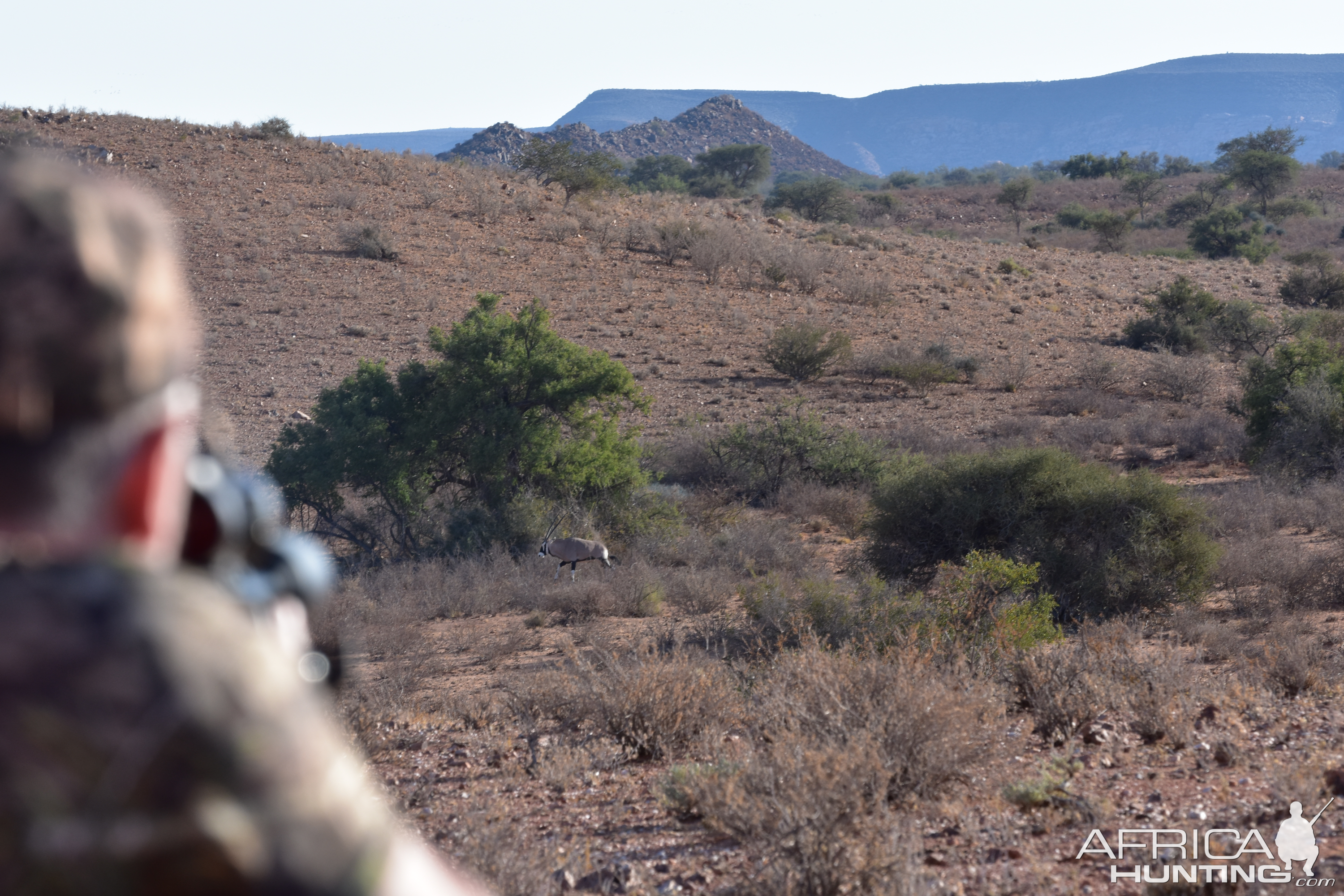 Gemsbok Hunting Namibia