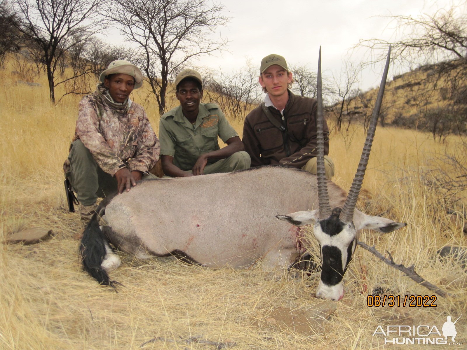 Gemsbok Hunting Namibia