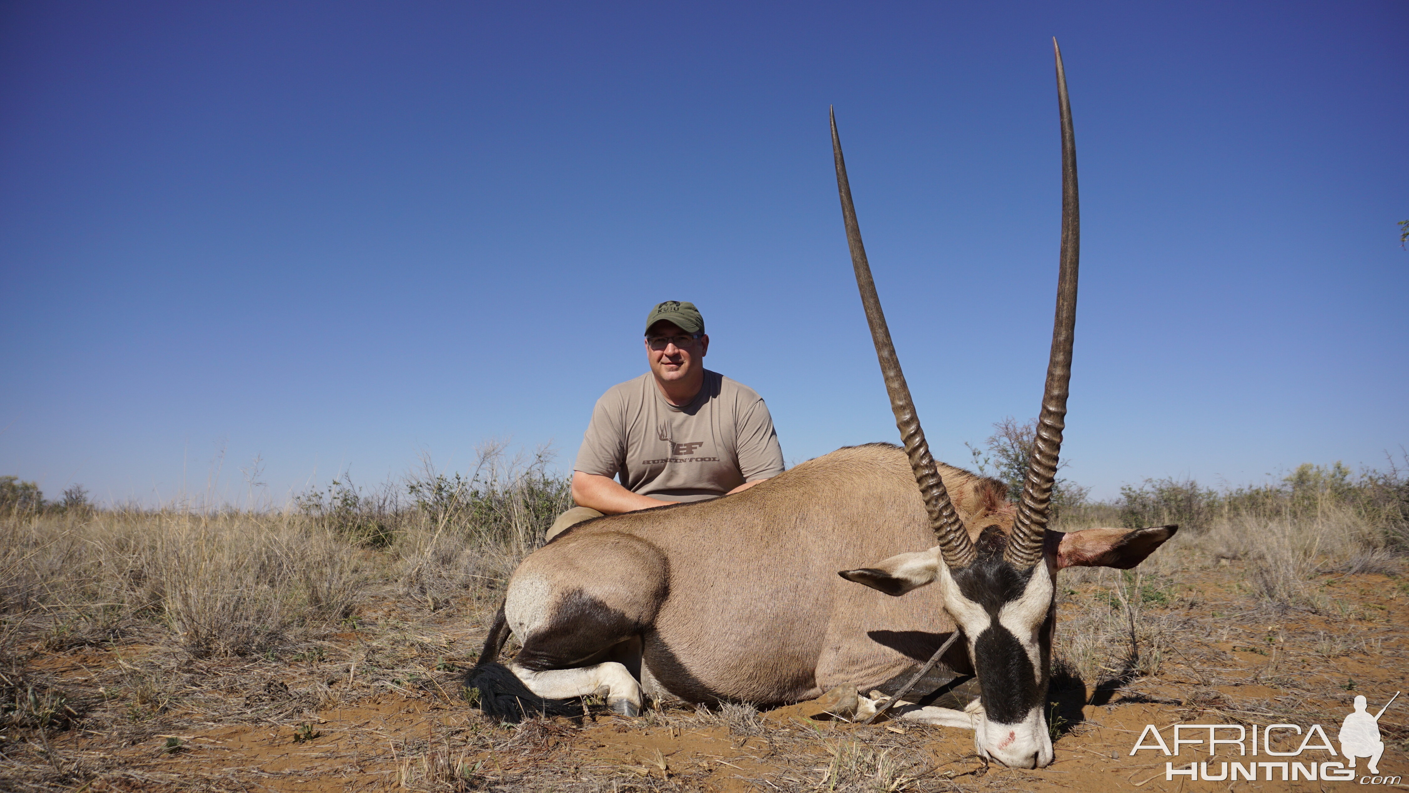 Gemsbok Hunting Namibia