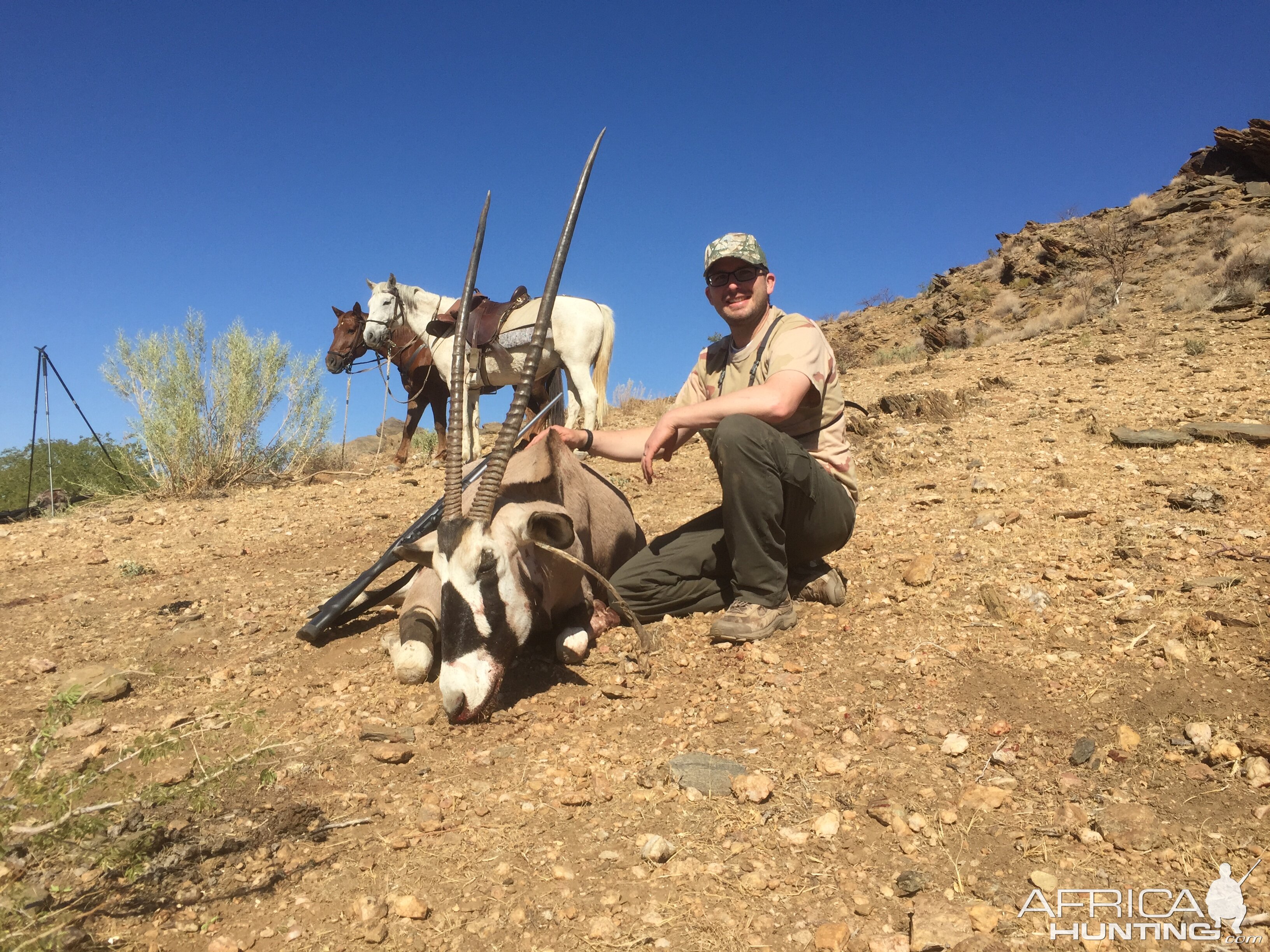 Gemsbok Hunting on horseback Namibia