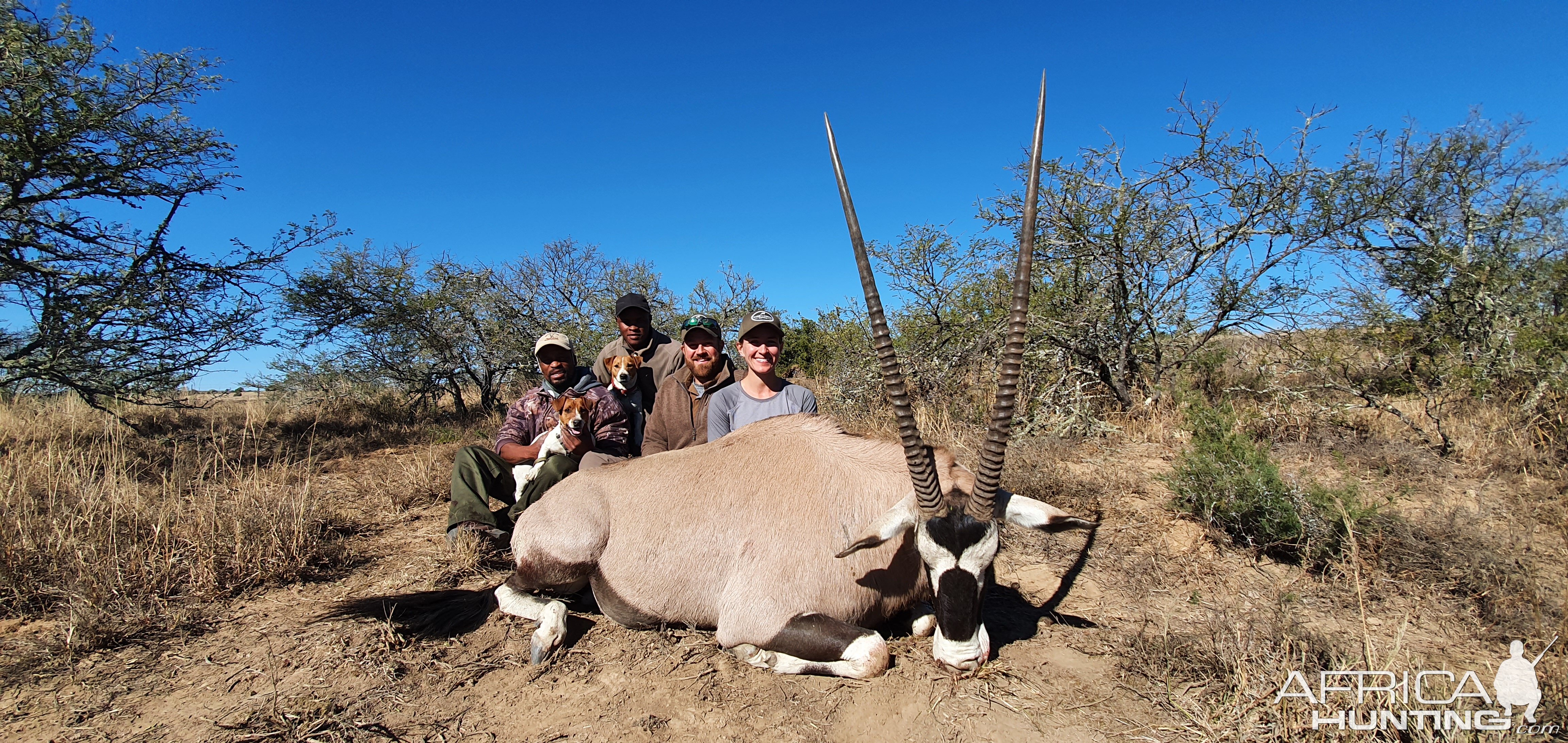 Gemsbok Hunting South Africa