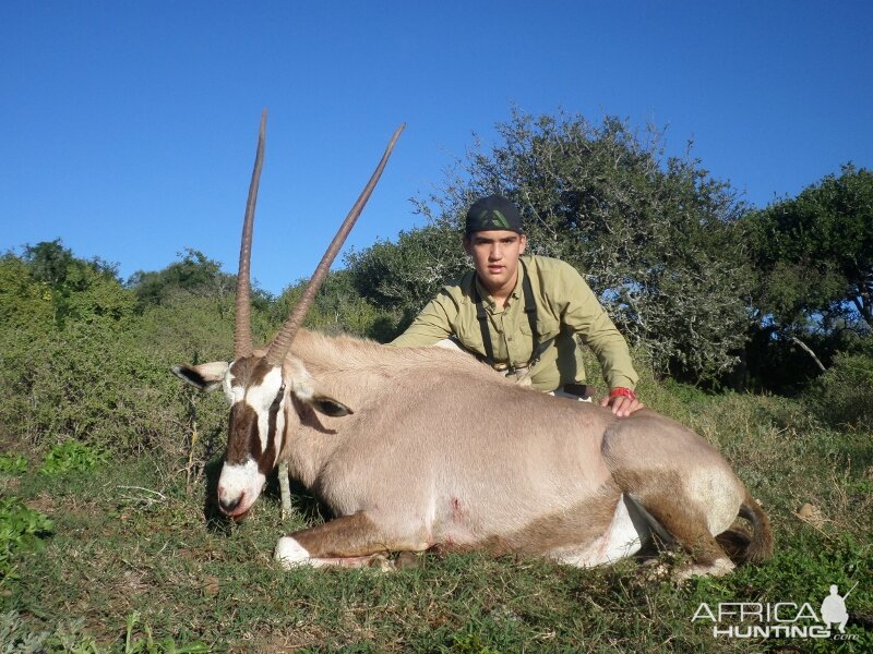 Gemsbok Hunting South Africa