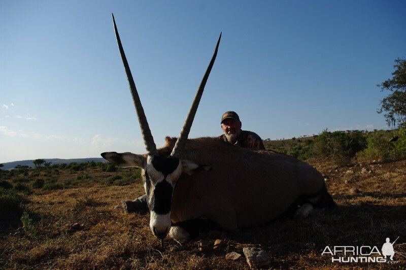 Gemsbok Hunting South Africa